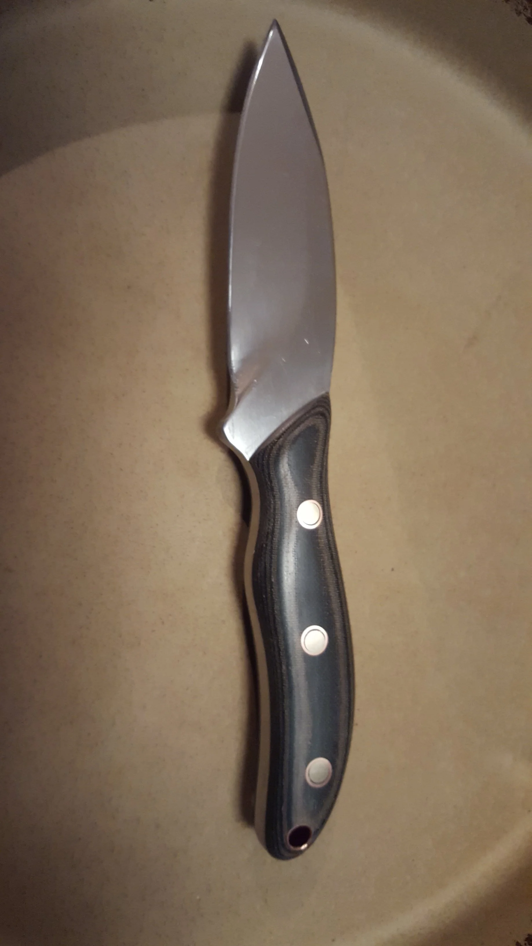 A kitchen knife with a stainless steel blade and a black handle with metal rivets.