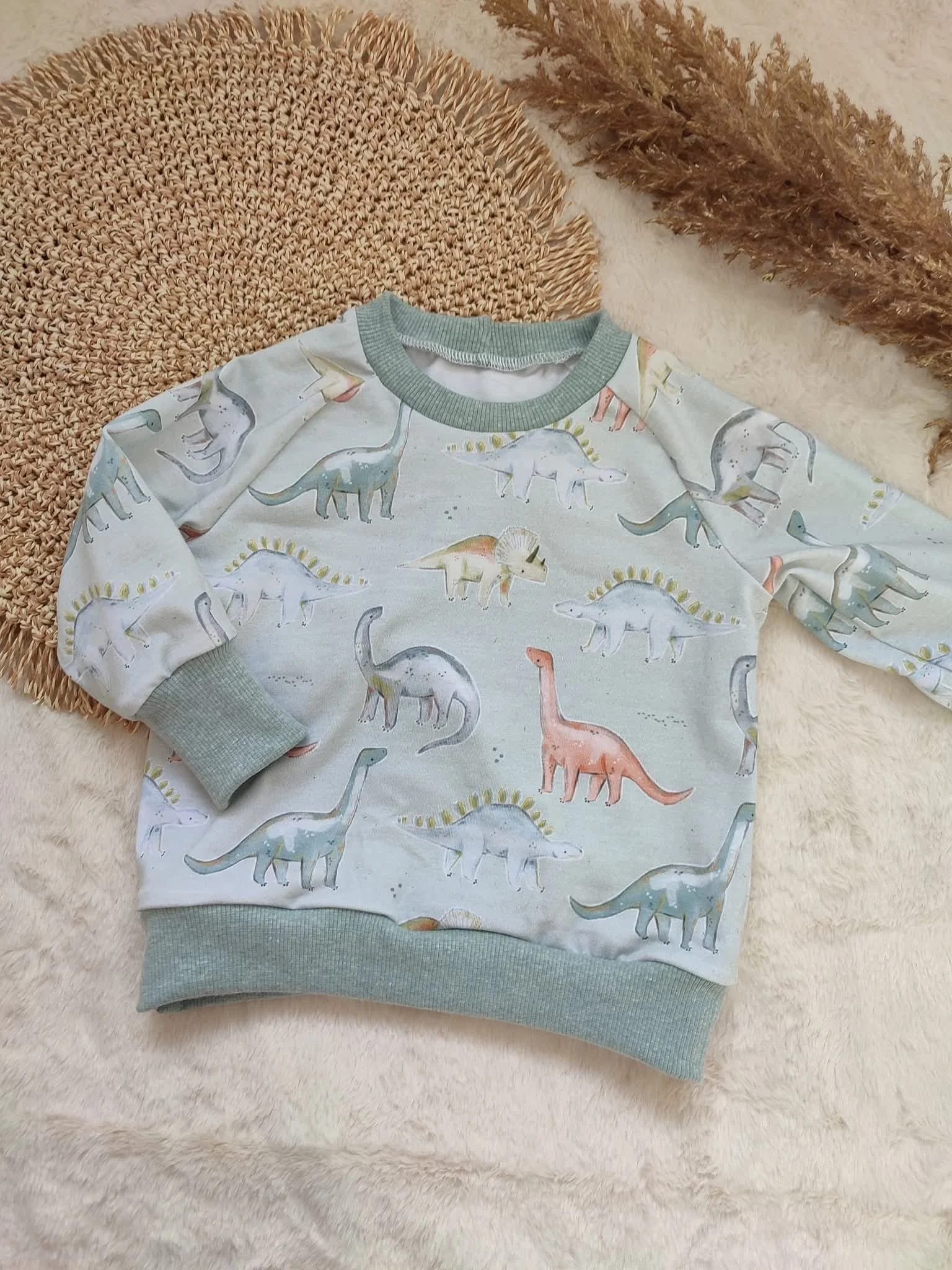 80 | Pullover Baumwolljersey Dino blau