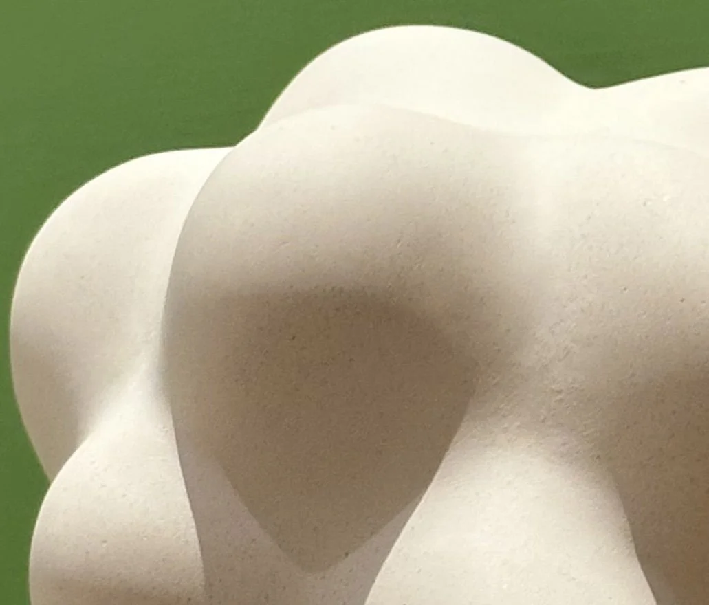 IMG_1601 Closeup.jpeg