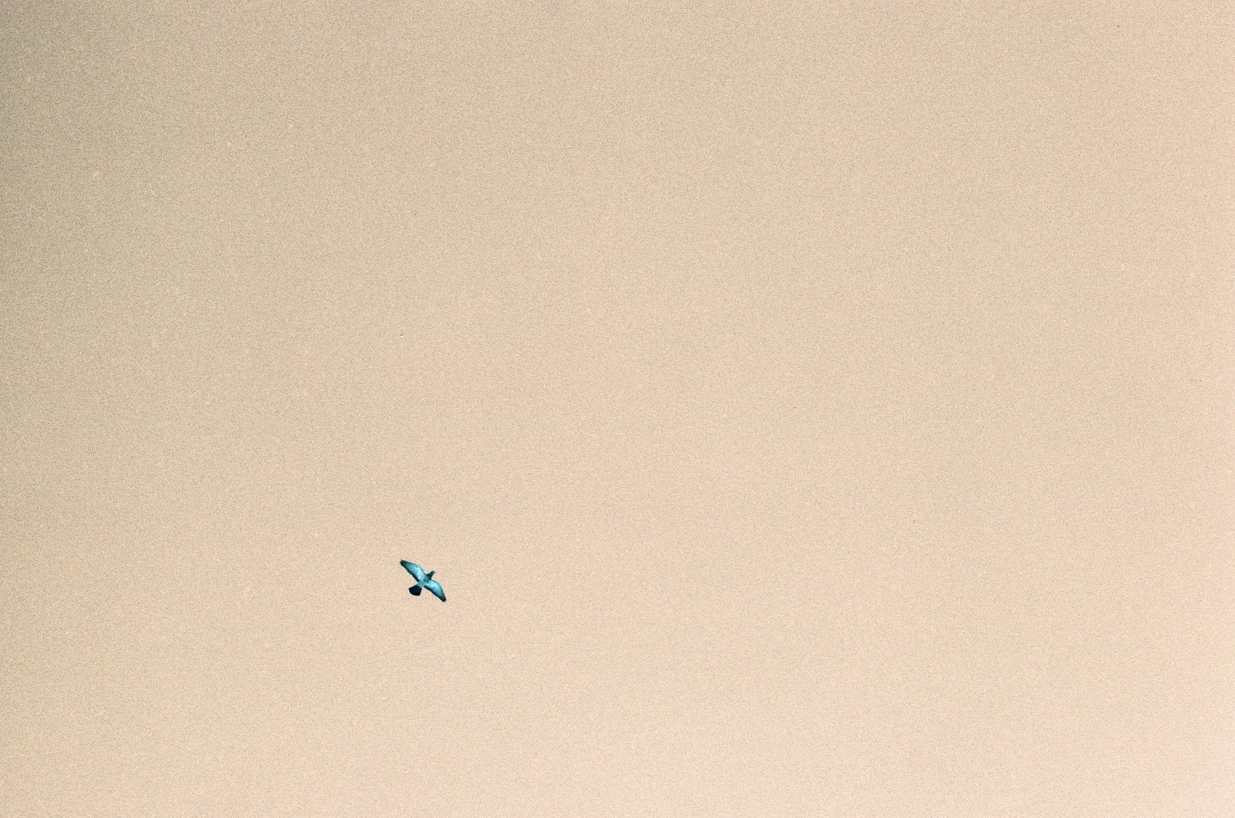 San Clemente, California - 35mm