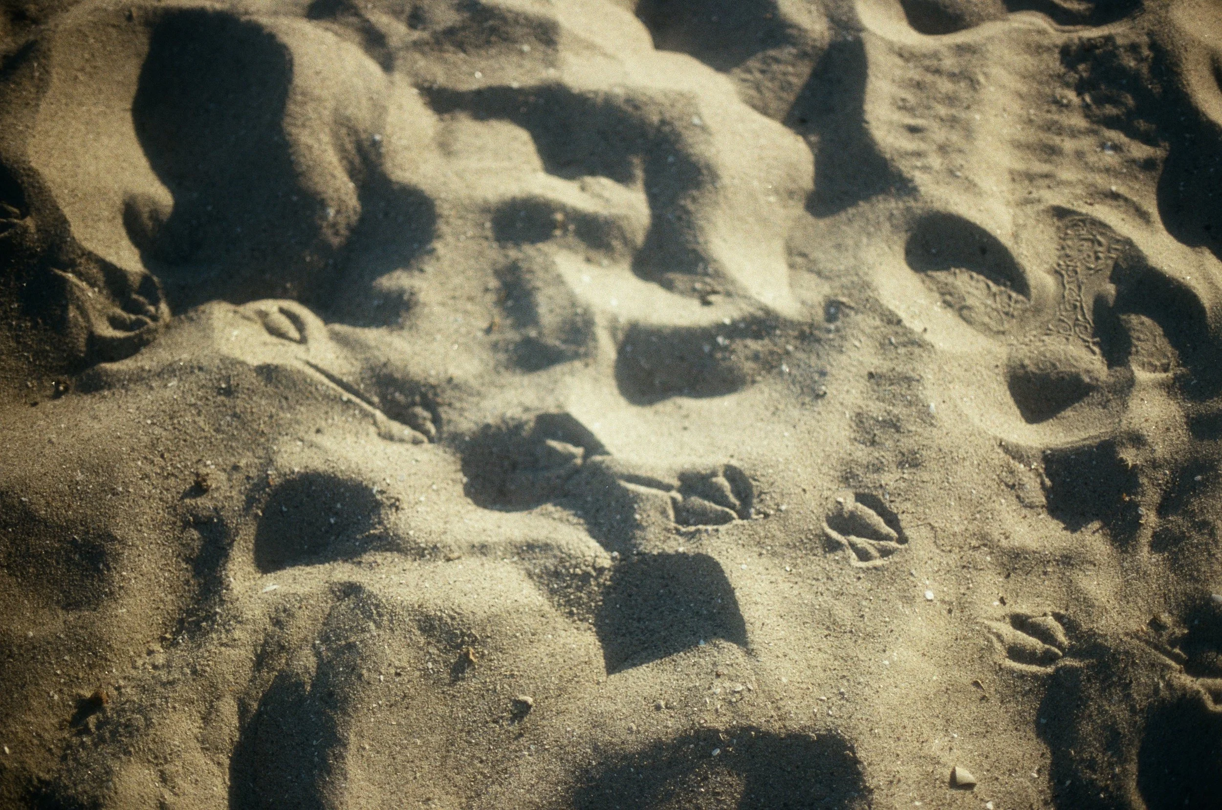 Santa Barbra, California - 35mm