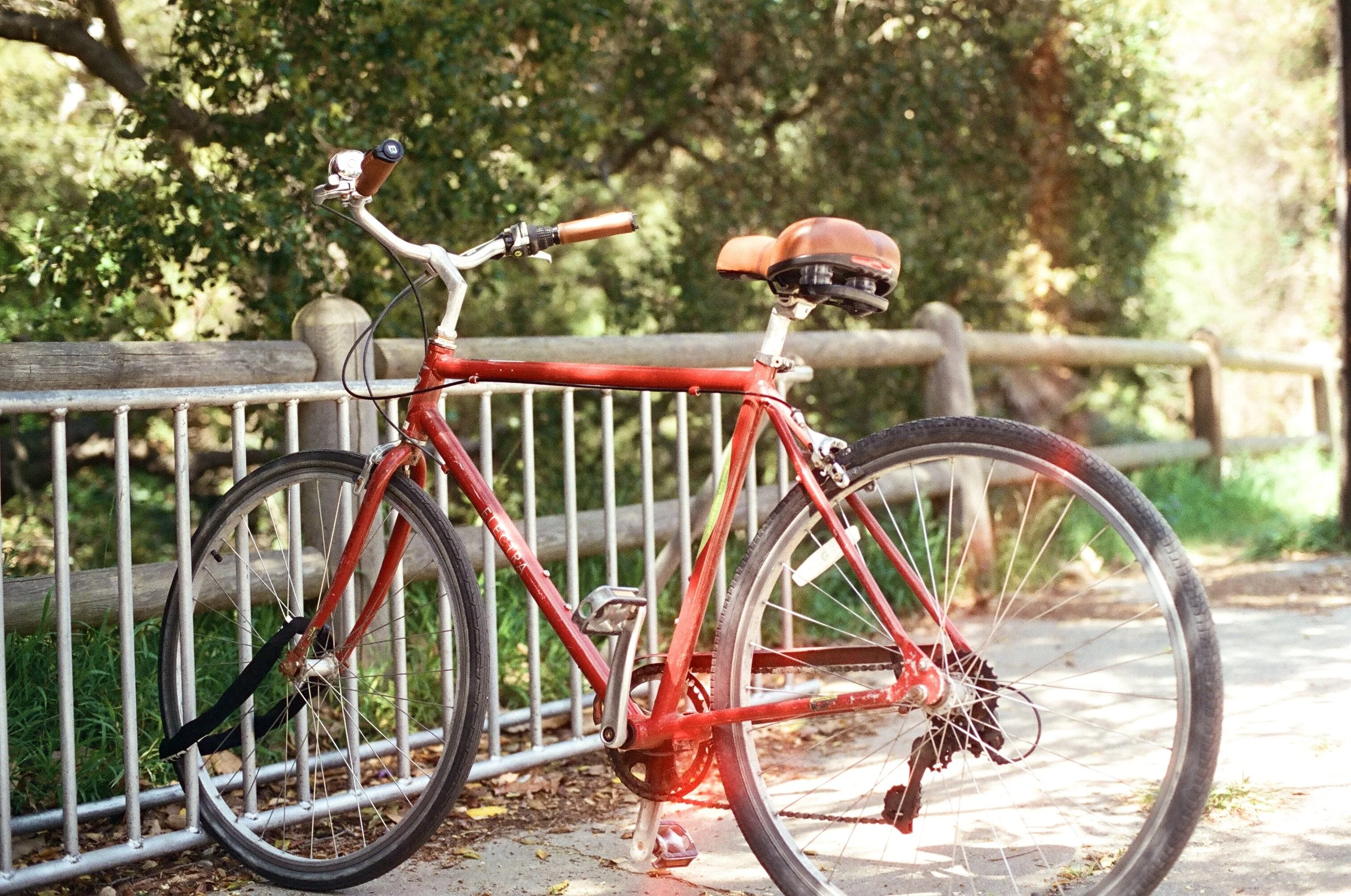 Pacific Palisades, California - 35mm