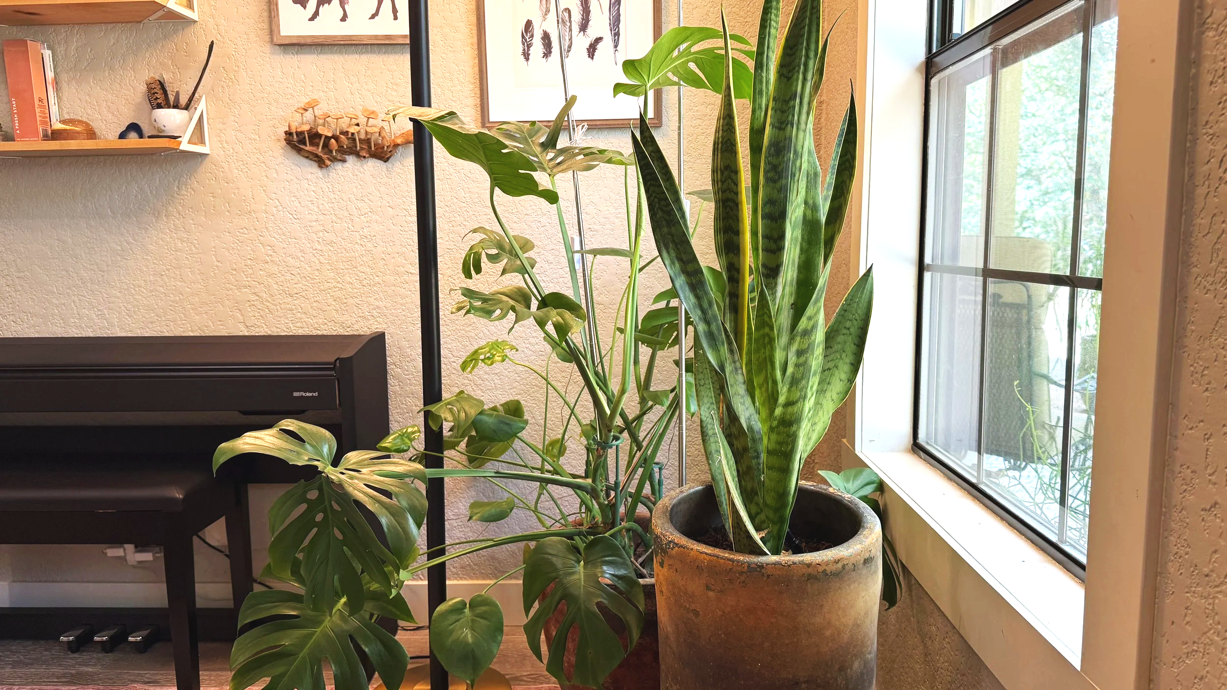 A little bit of the wild, right by your bedside. Living green energy to help you stay rooted during your stay.