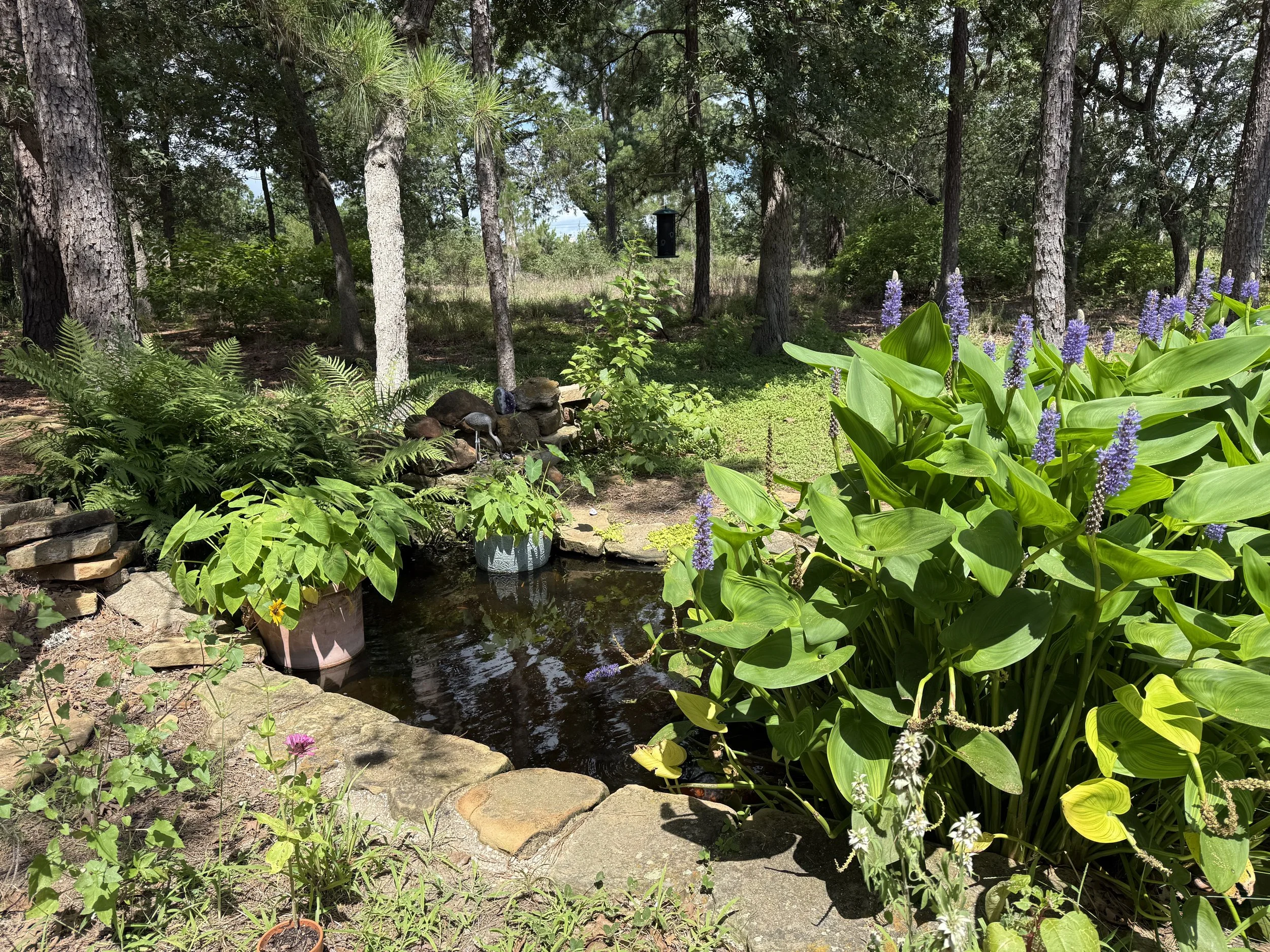 A small fish pond with a gently flowing waterfall invites you to stay for a moment. 
