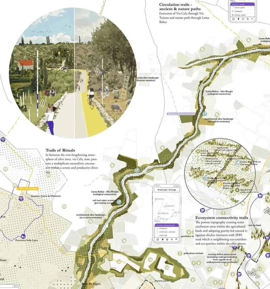 An Atlas of Rituals - Bitonto, Italy