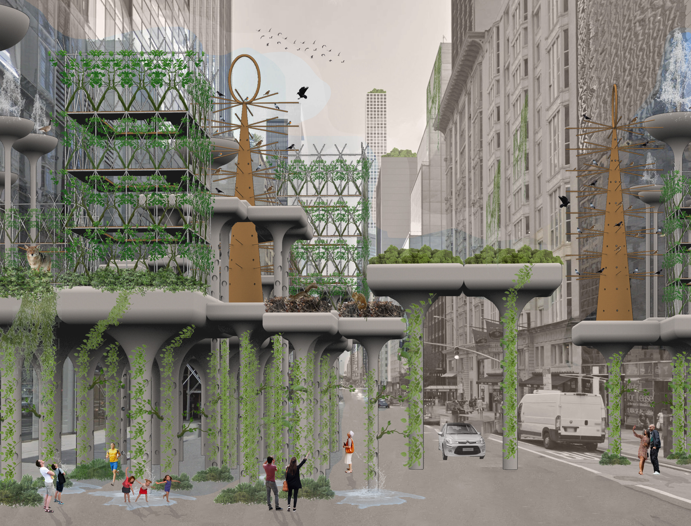 Rewilding Manhattan, New York