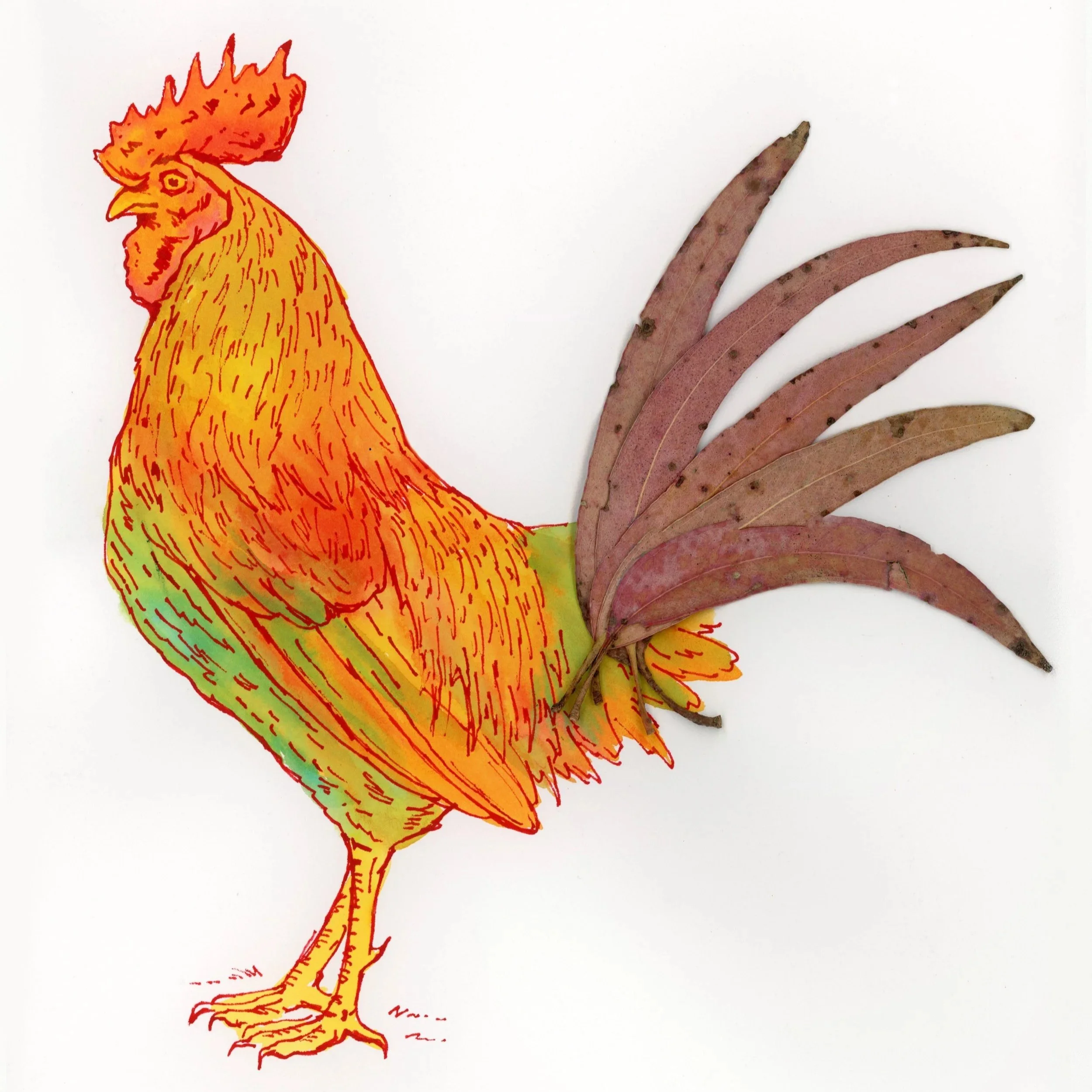 RoosterWatercolor.jpg