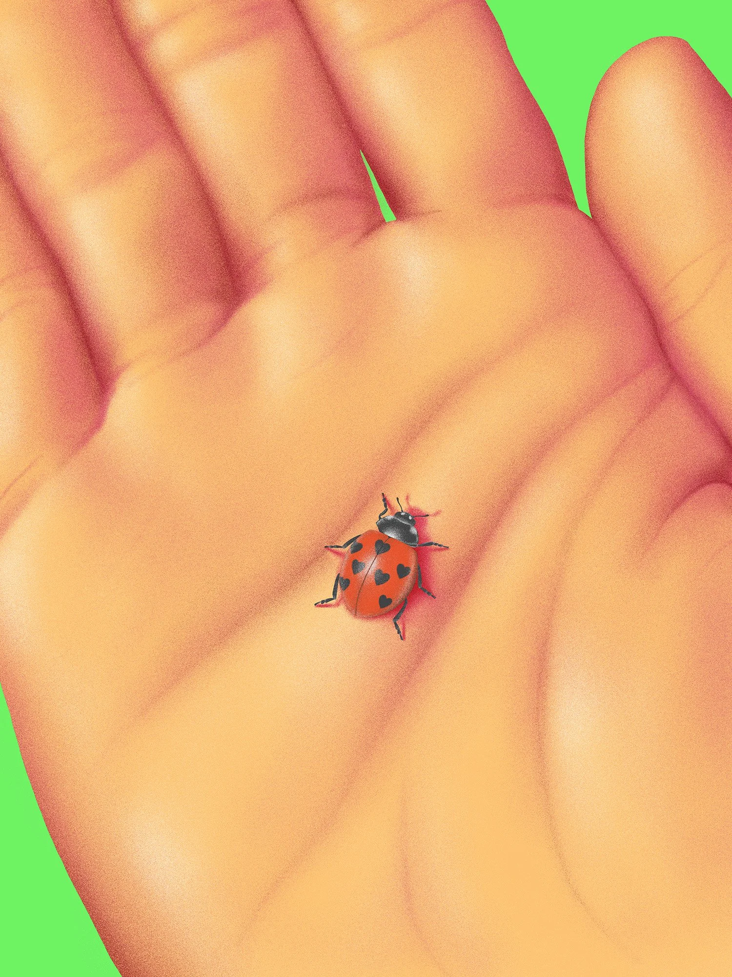 Ladybug_V1.jpg