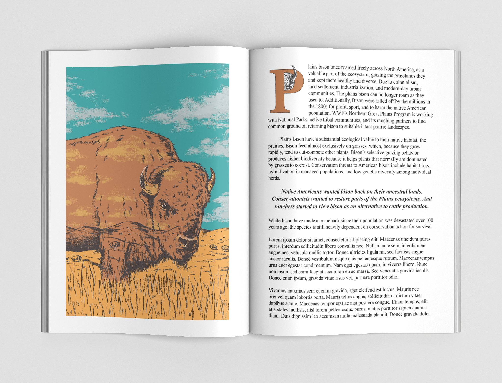 WWF_Mag_Mockup_Bison.jpg