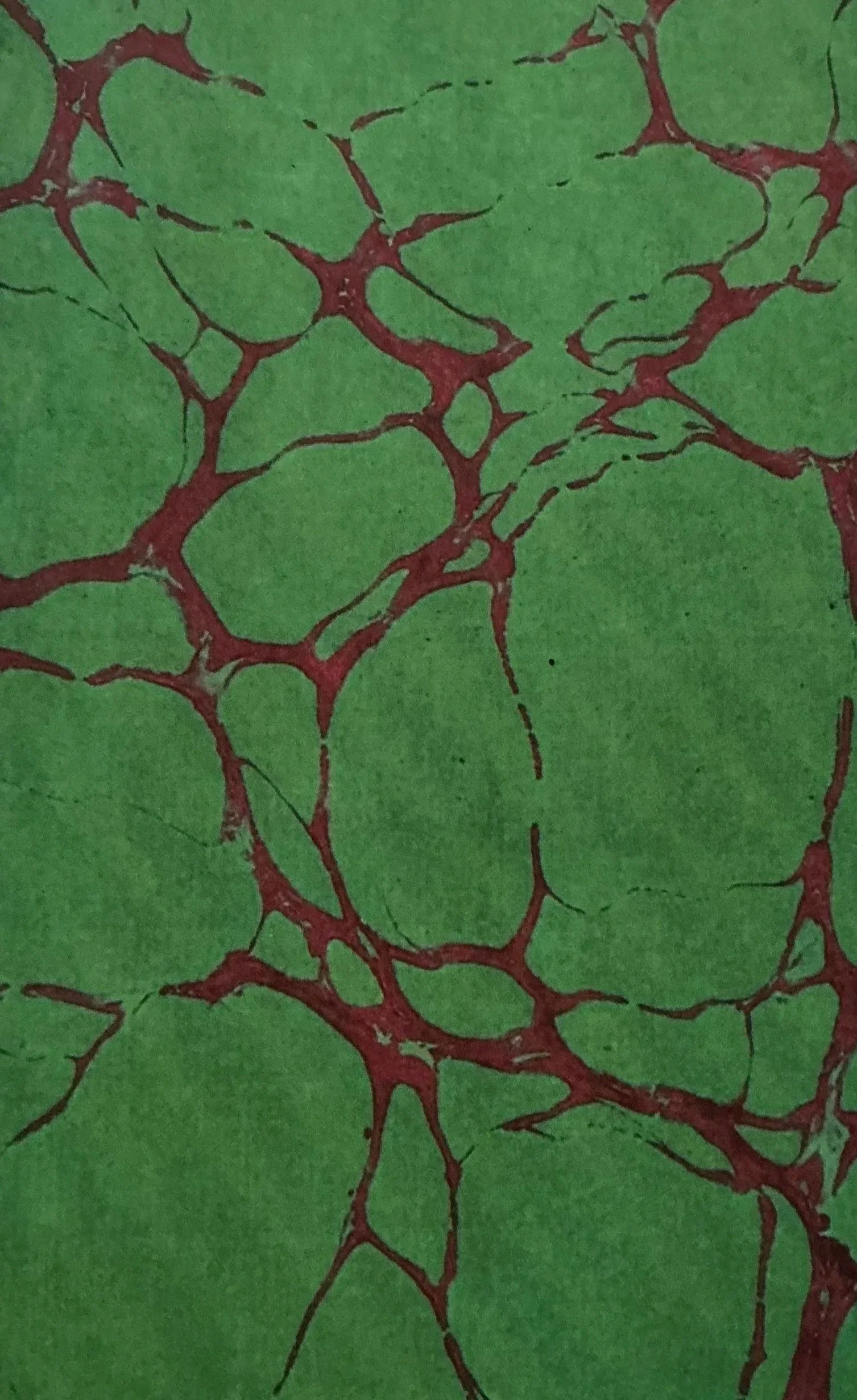 Green Marble with Red Veining Notebook