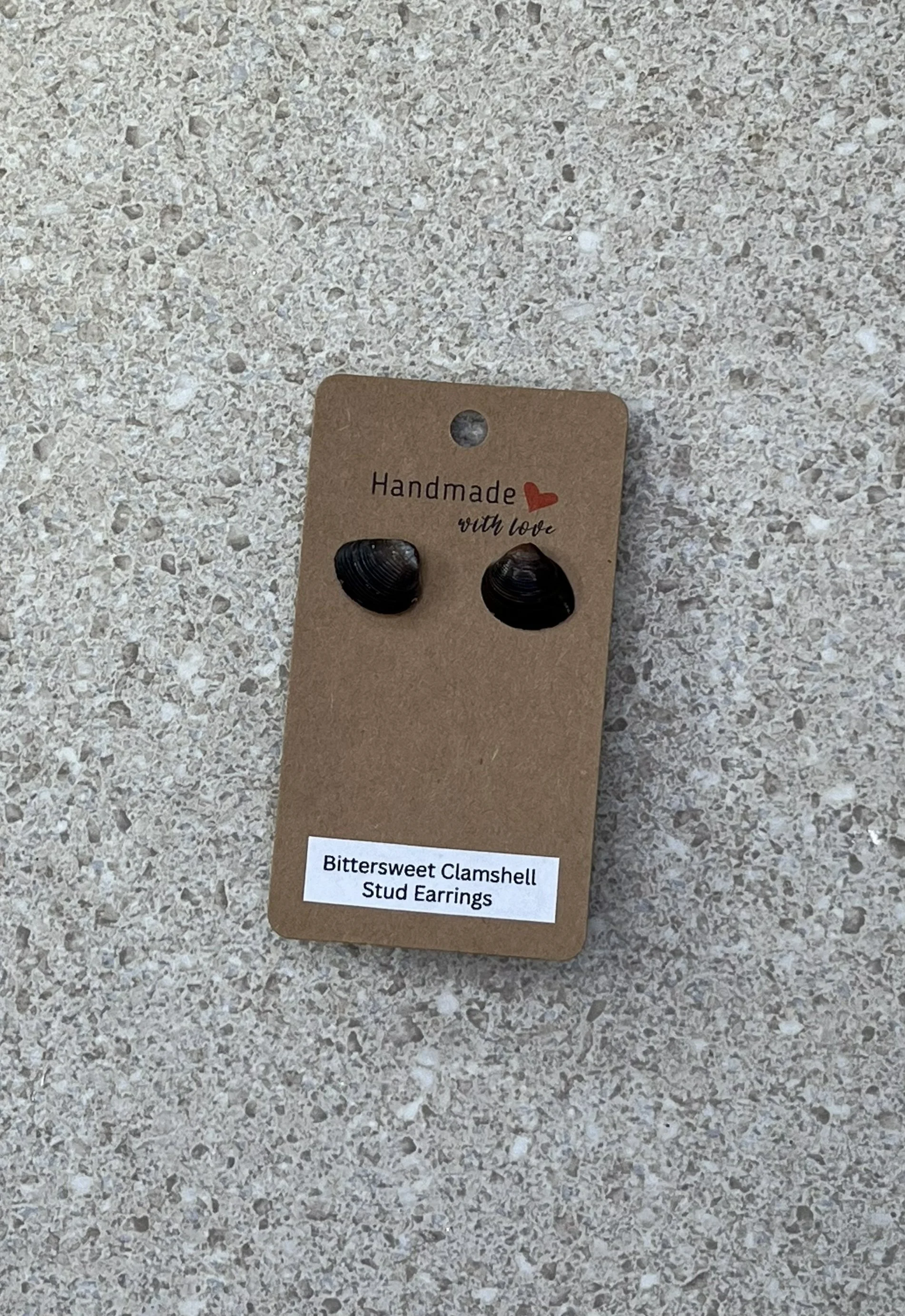 Bittersweet Clamshell Stud Earrings