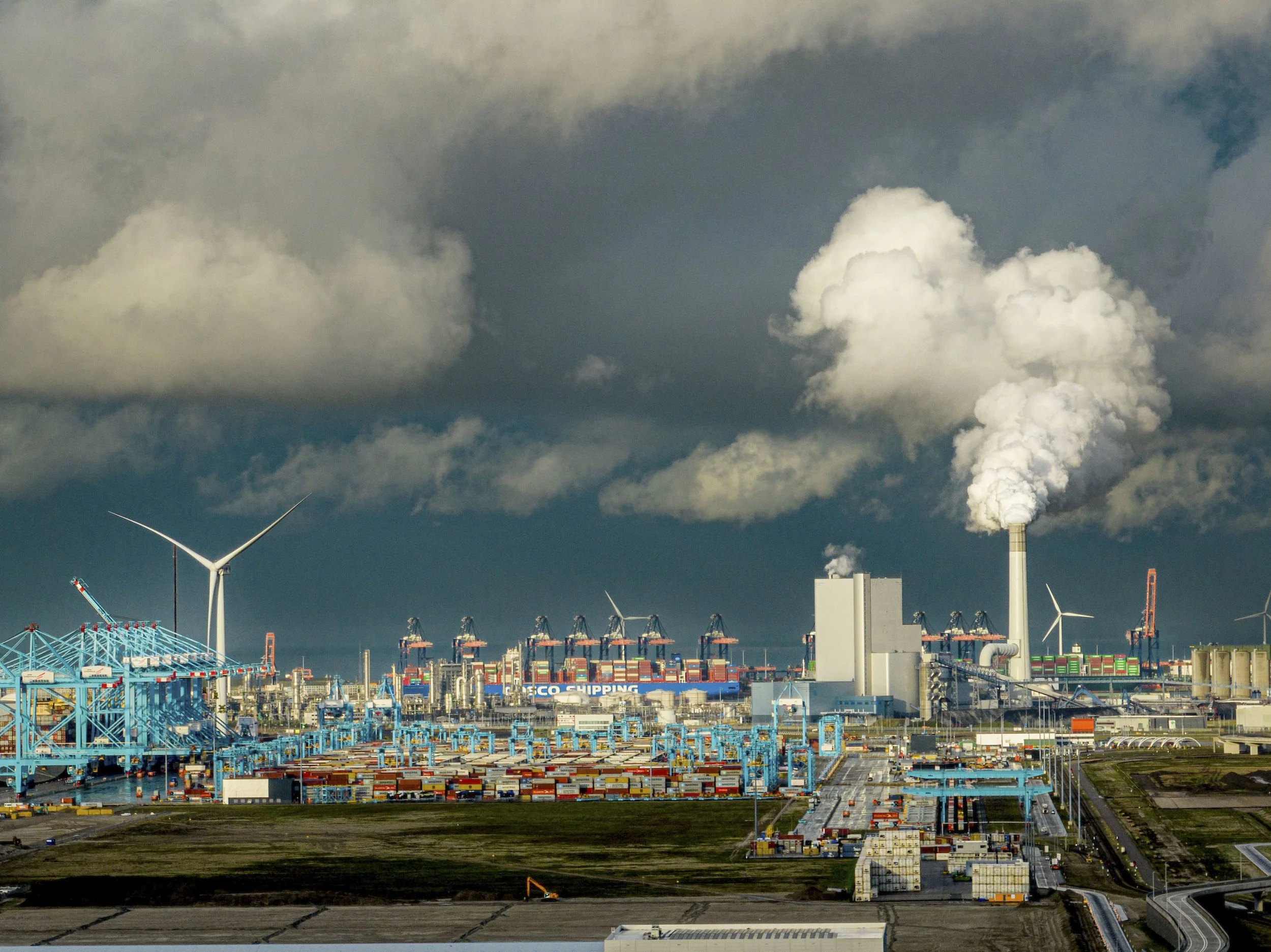 EU Carbon Markets Enter a Political Summer