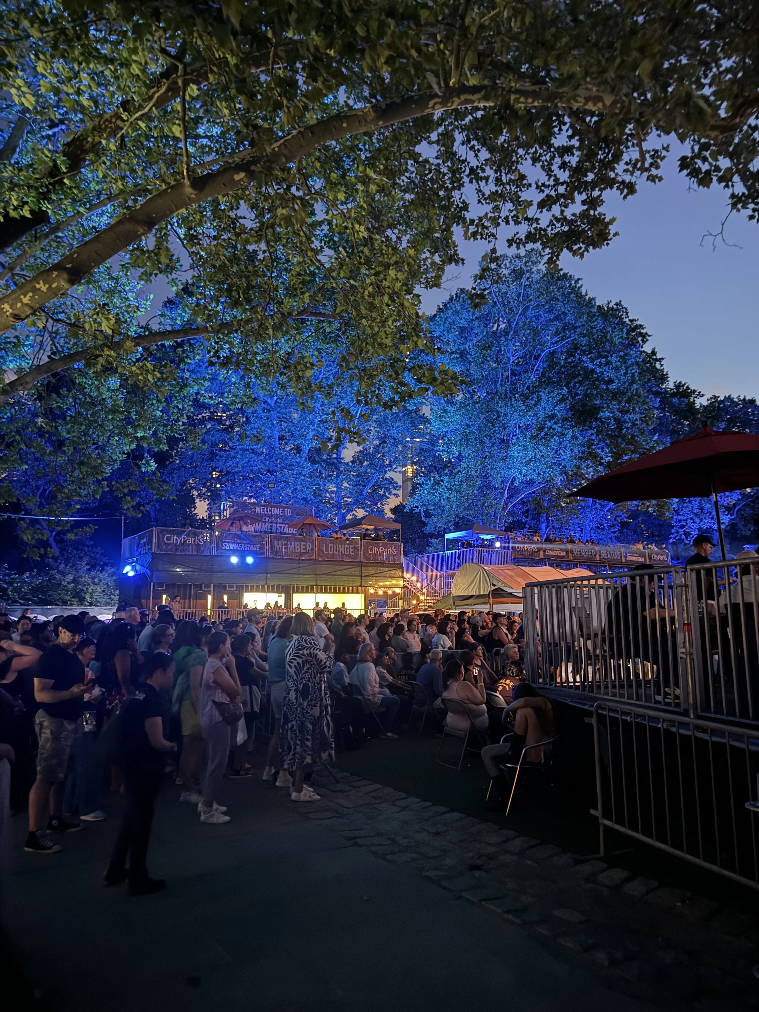 Crowd of people gathered outdoors at night, watching a performance or event with blue lighting on trees and stage, in a park setting.