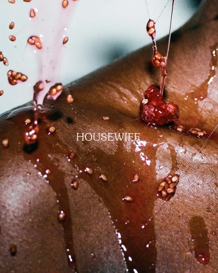 Seed-born, skin-deep. Raspberry seed oil &mdash; sourced from upcycled raspberries, rich in EFAs.
Join the waitlist | housewifeskin.com