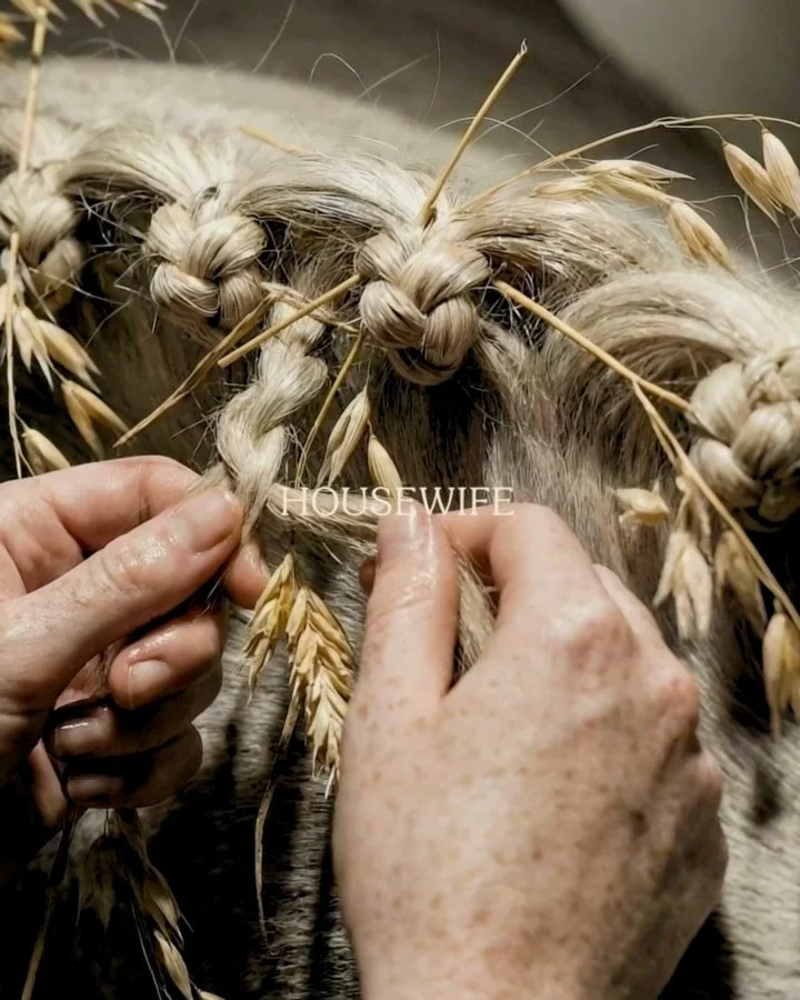 Avena Sativa (OAT) Kernel Extract &mdash; An architecture of lipids at work beneath the surface.