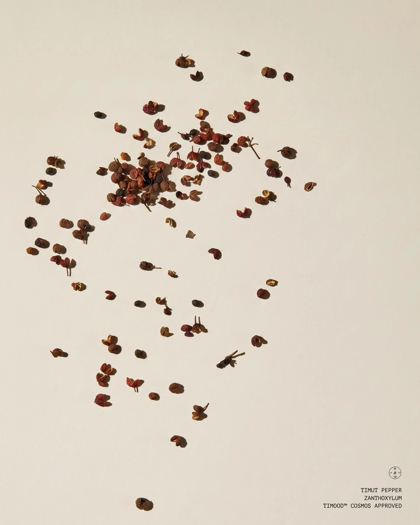 Skin is emotional, something felt. Fluent in stress.

Meet TiMOOD&trade; &mdash; a neurocosmetic active derived from Himalayan timut pepper, designed to support skin, mood, and the deep bond between skin + brain. Our hero.

What you feel, shows. What
