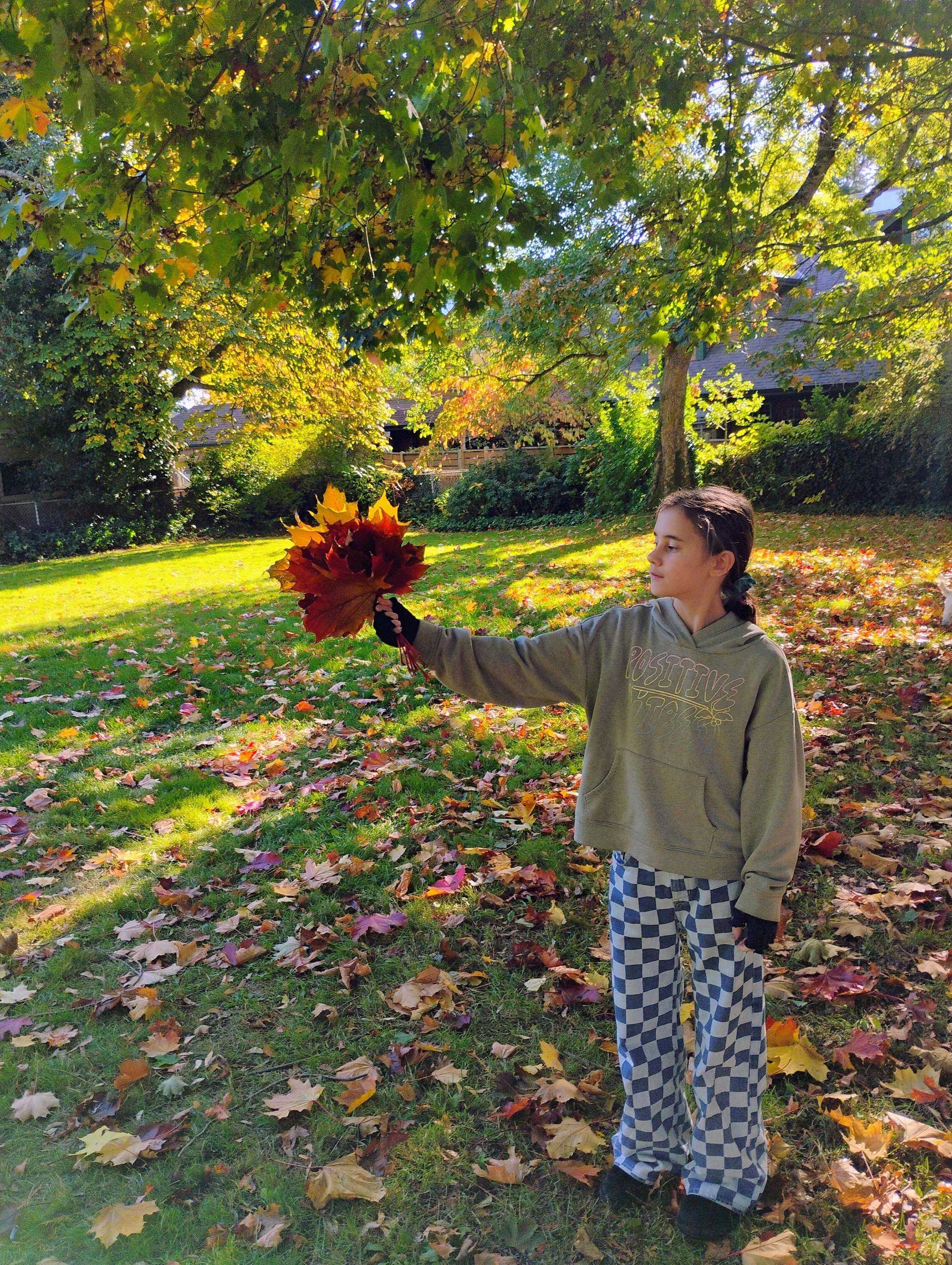 Student holding autumn leaves