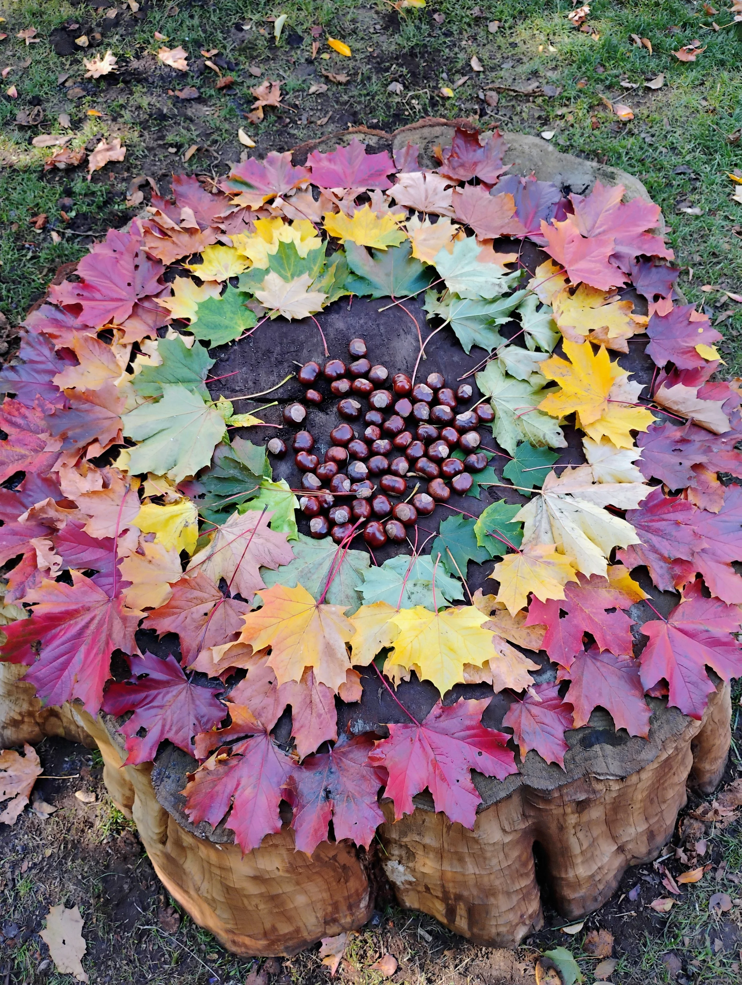 ArtsCalibre Academy bed of flower