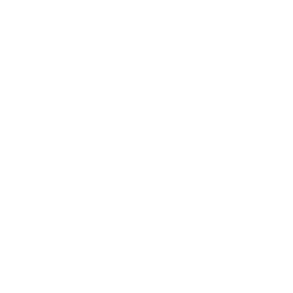 Redmond Family Reunion