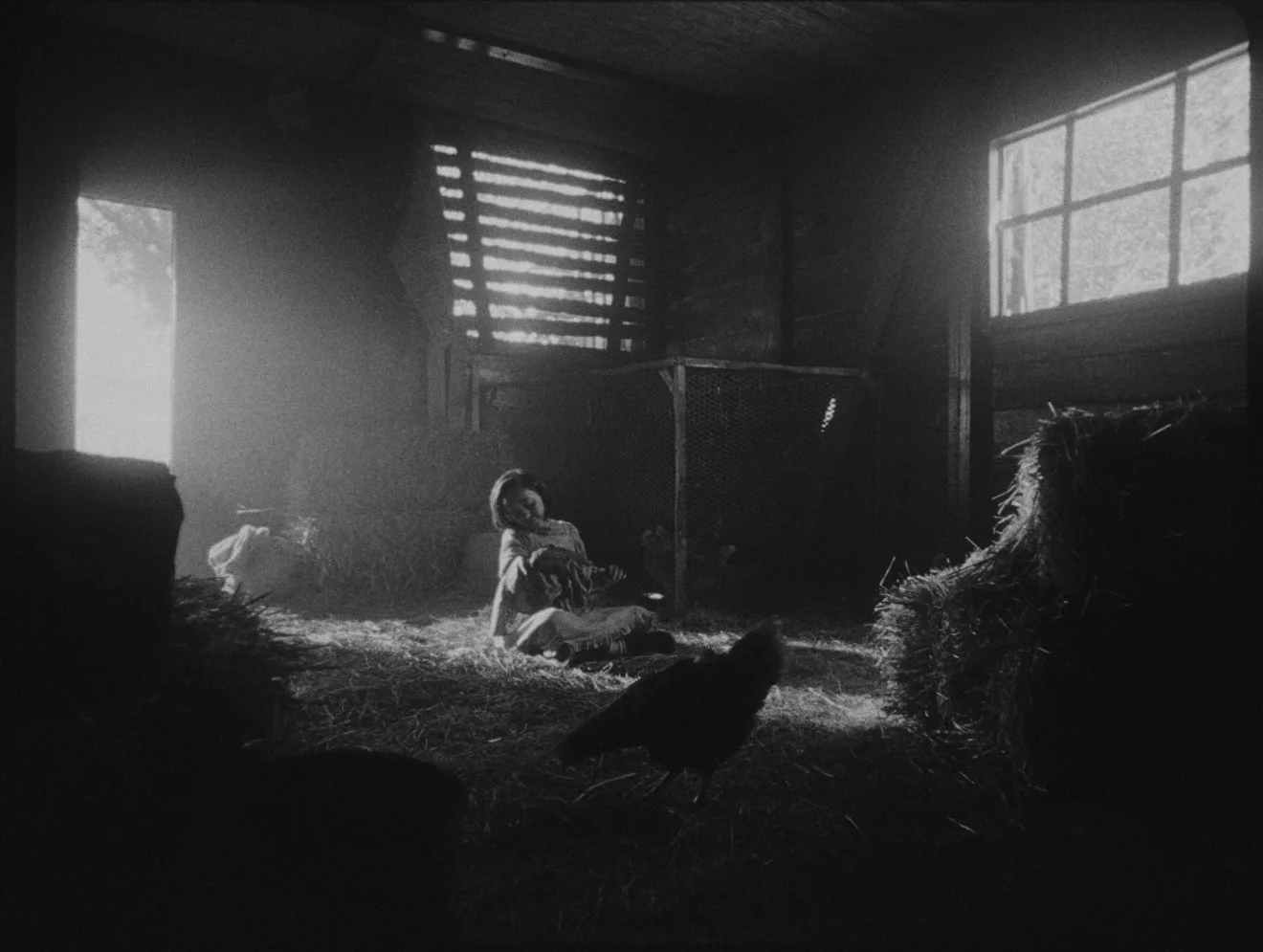 𝚅𝙸𝙲𝙴𝙽𝚃𝙴 𝚅𝙸𝙳𝙰𝙻 𝚋𝚢 𝙽𝚈𝚂𝚄