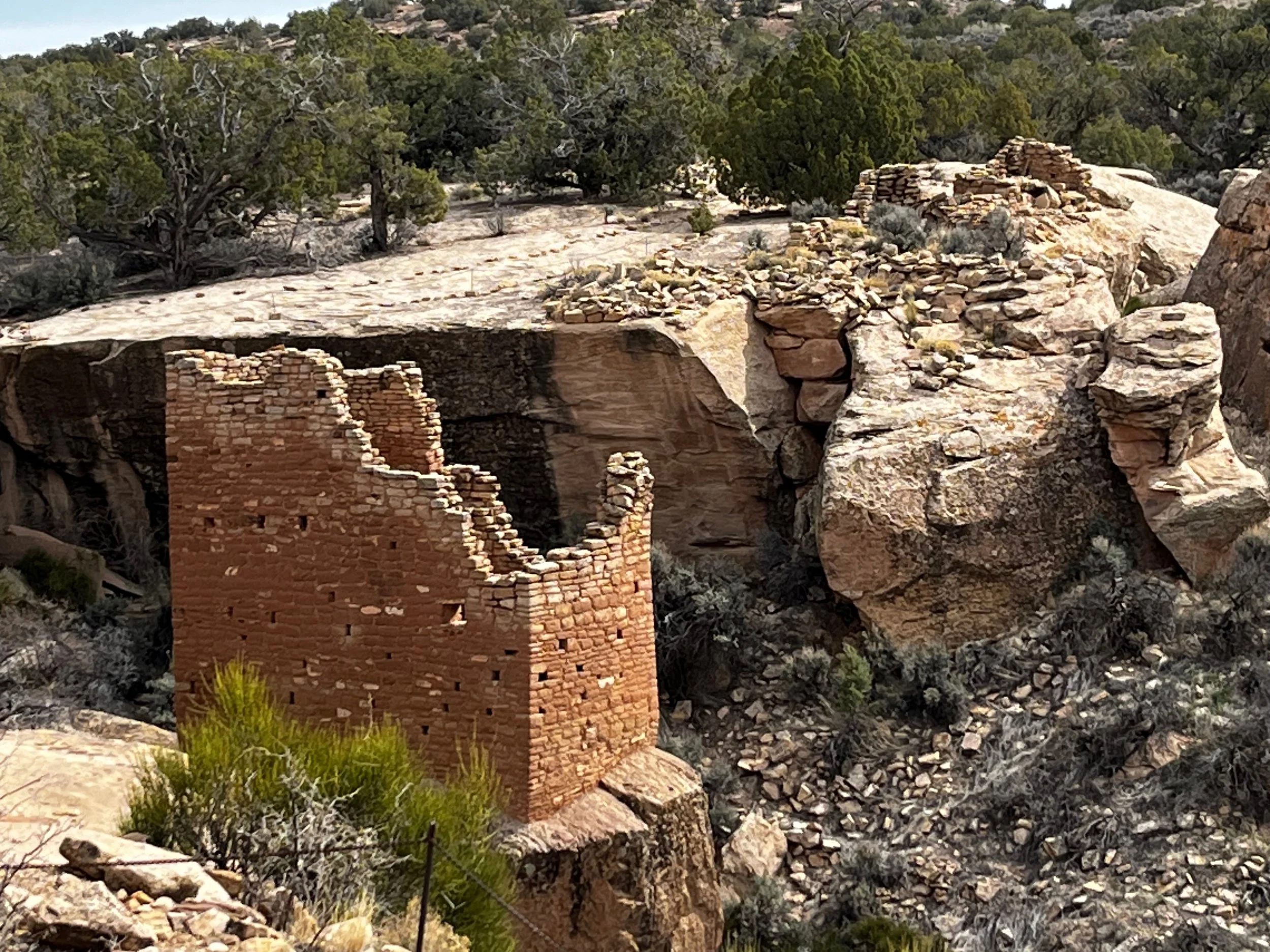 August in Southwest Colorado: Making the Most of Summer