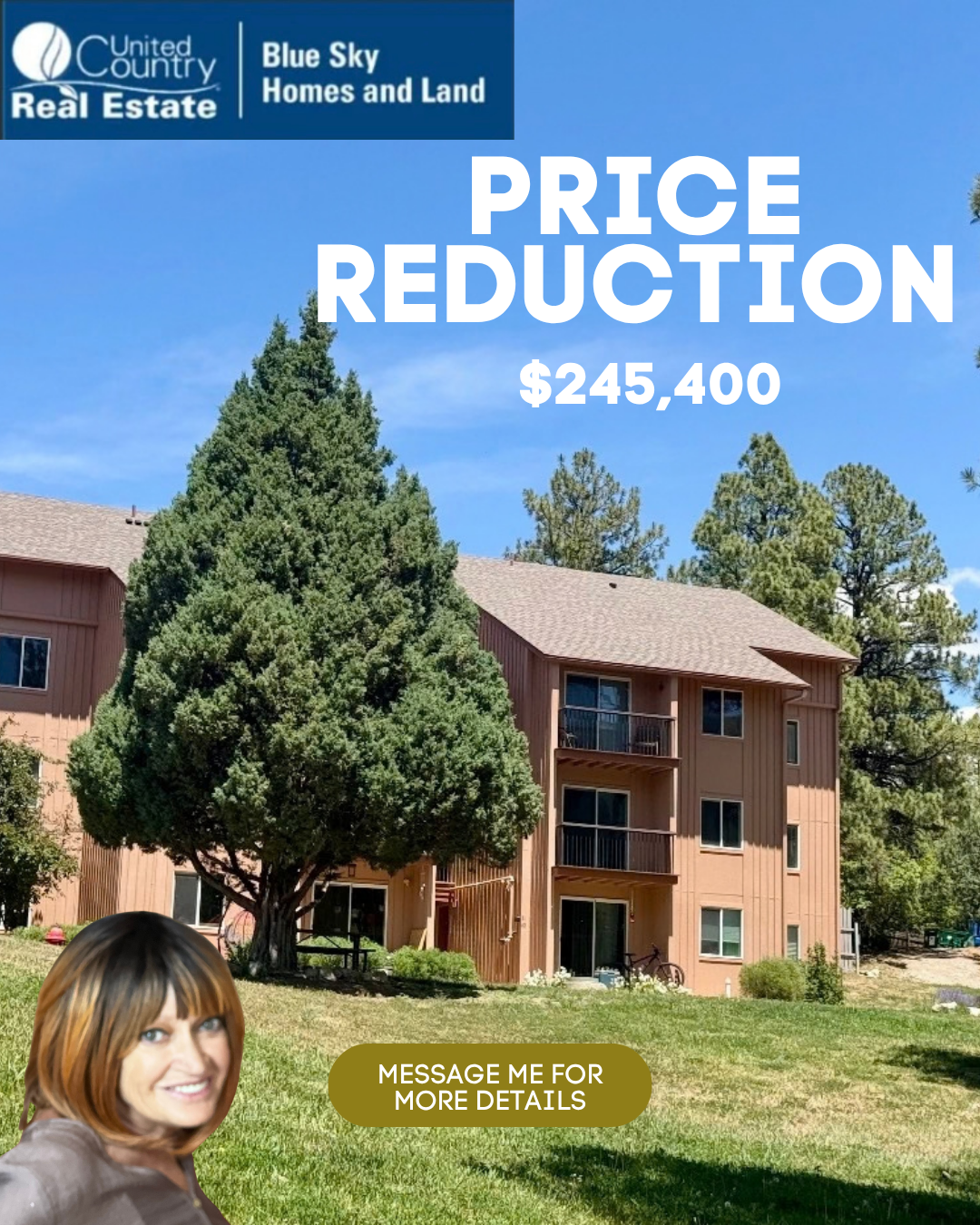 Real estate price reduction graphic featuring a multi-unit mountain home, $245,400 price, and United Country Blue Sky Homes and Land branding.
