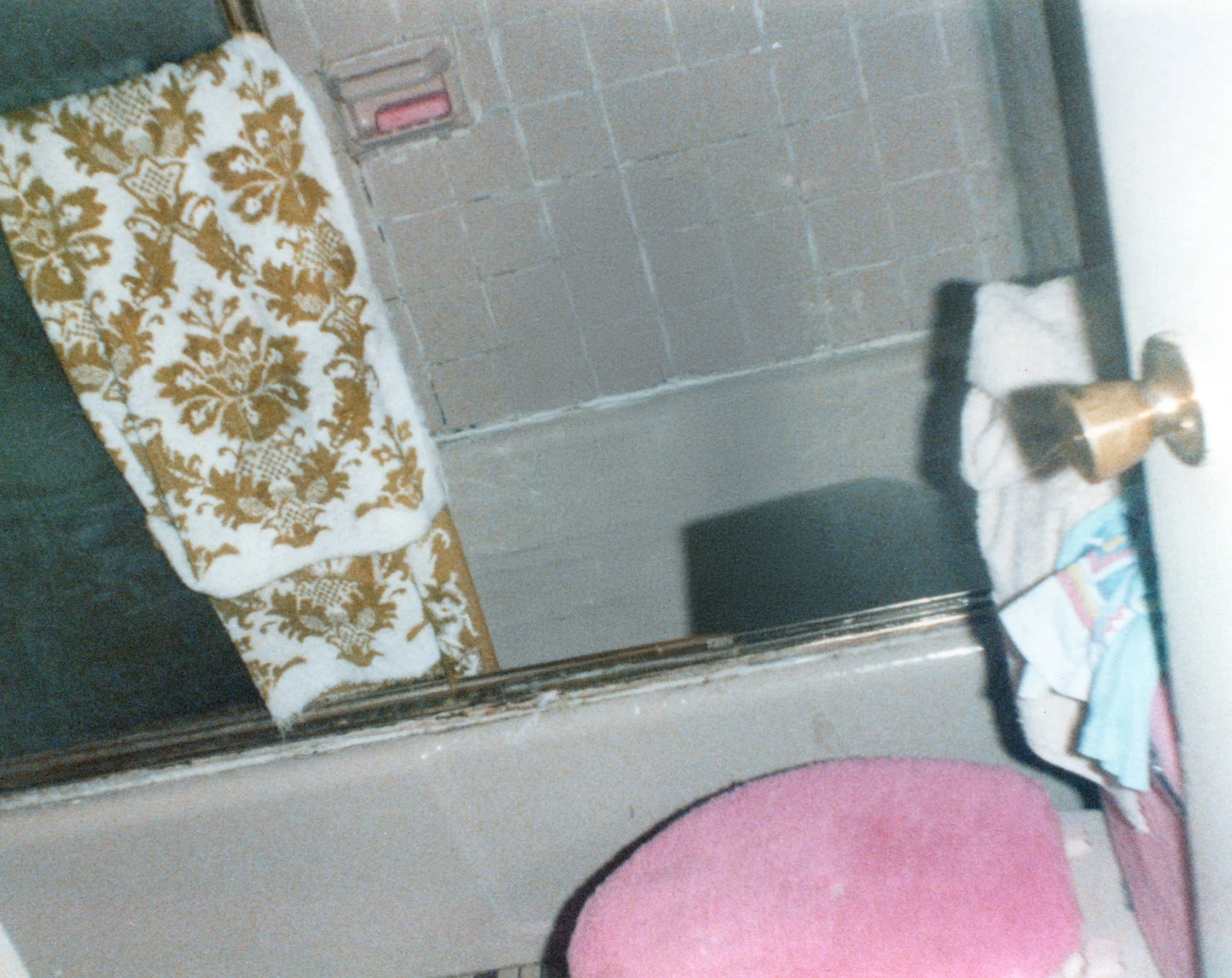 Bathroom Walls Remember