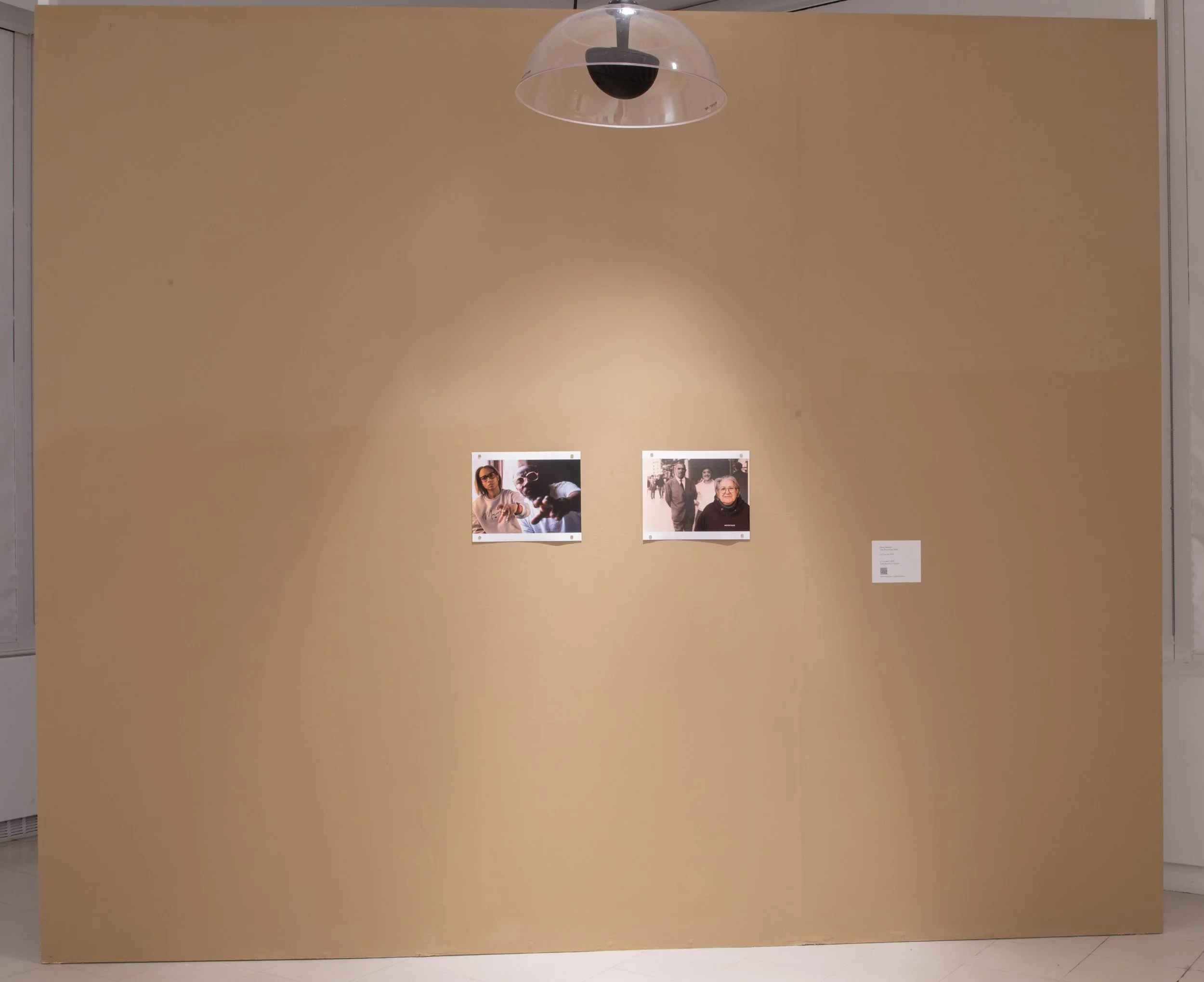 Documentation Photograph