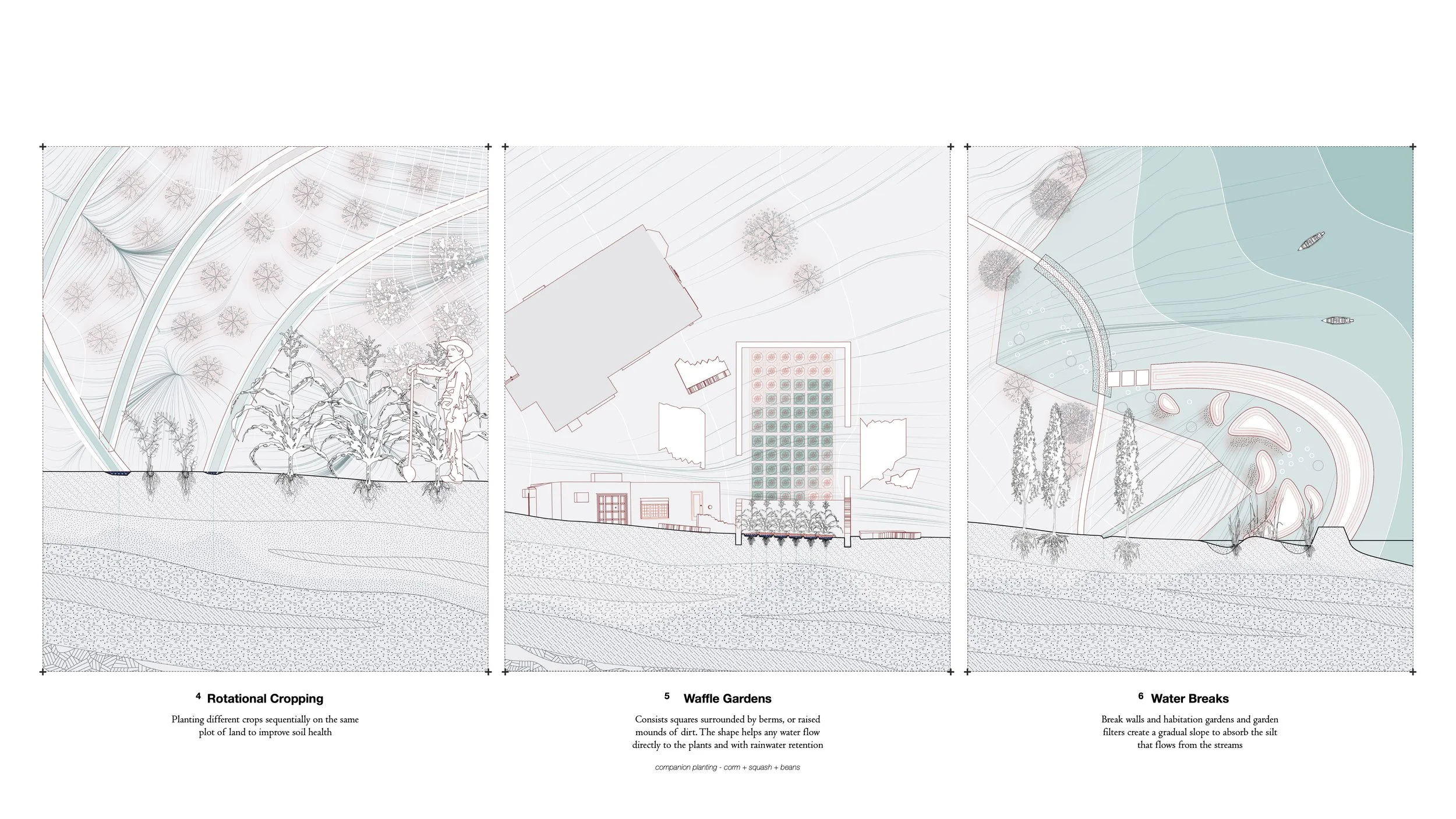 Aquatic Livelihoods_10.jpg