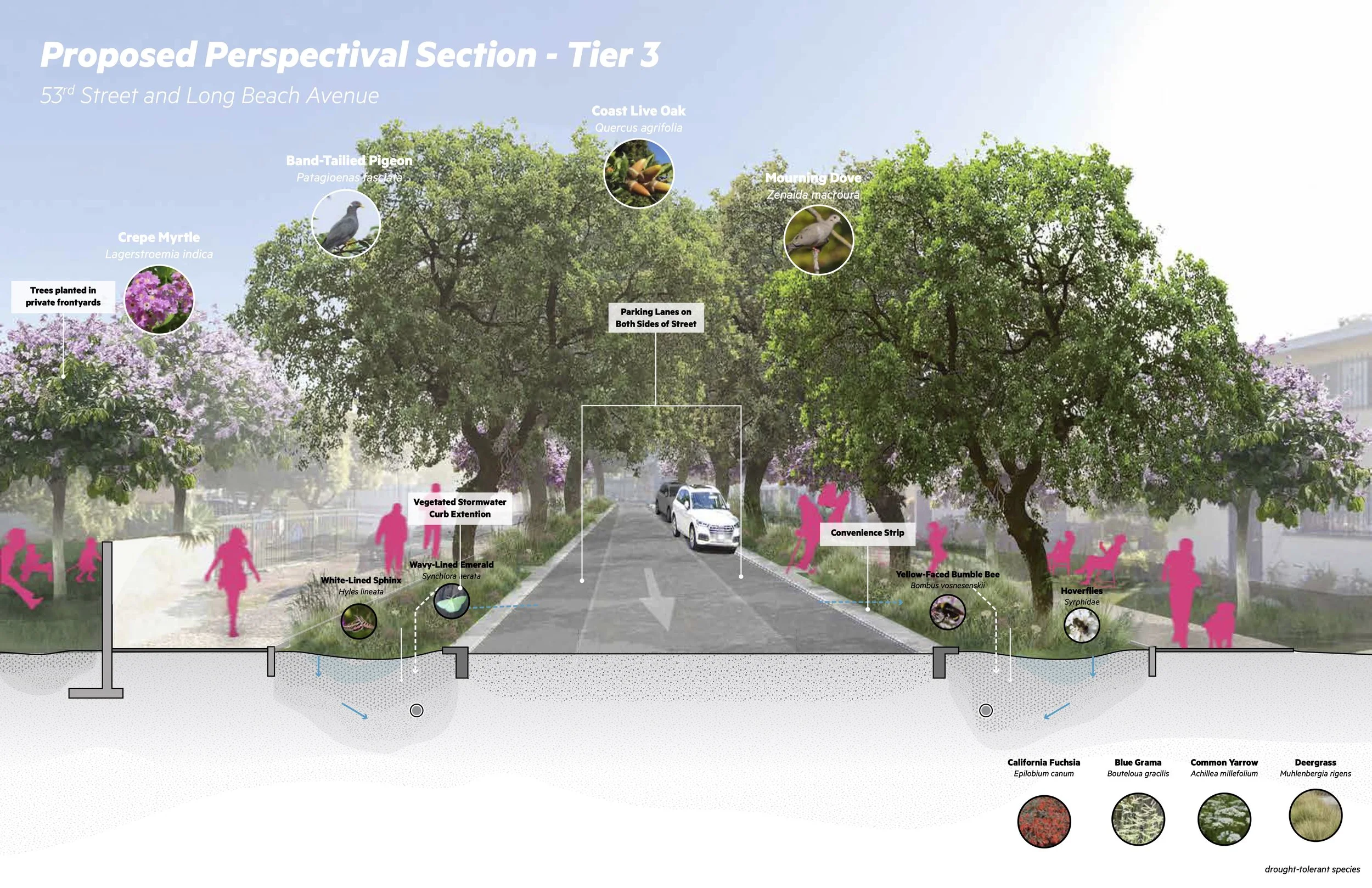 20231018_Analysis and Renderings 27.jpg