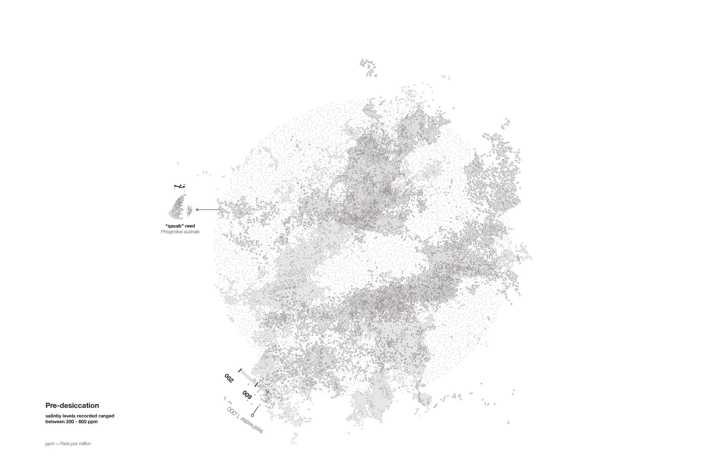 Identities of Past and Present_19.jpg