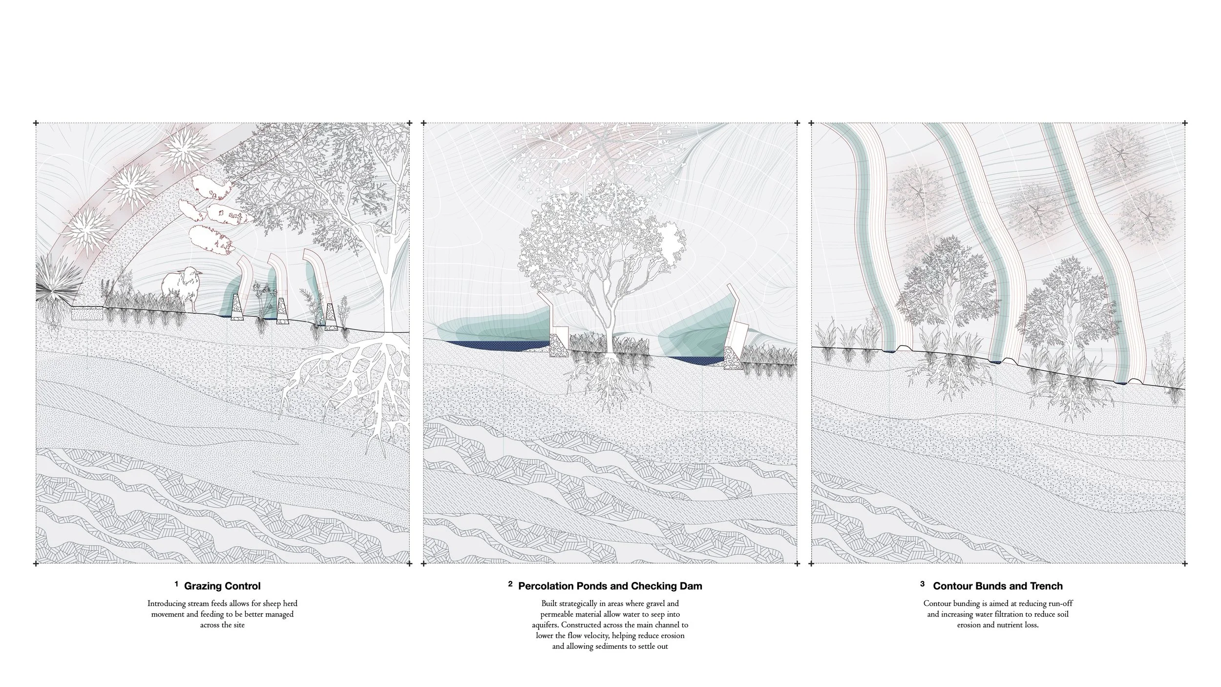 Aquatic Livelihoods_9.jpg