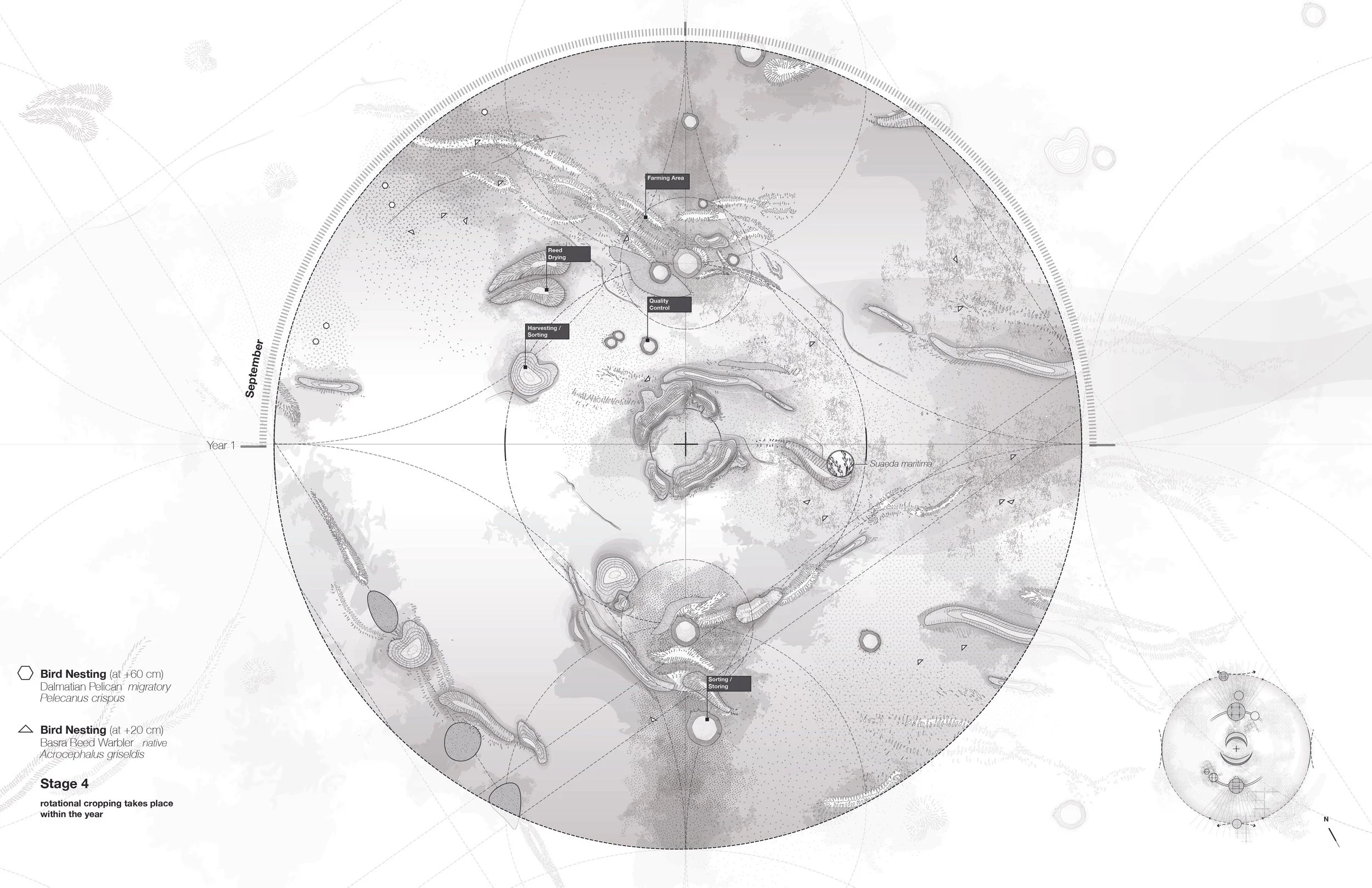 Identities of Past and Present_7.jpg