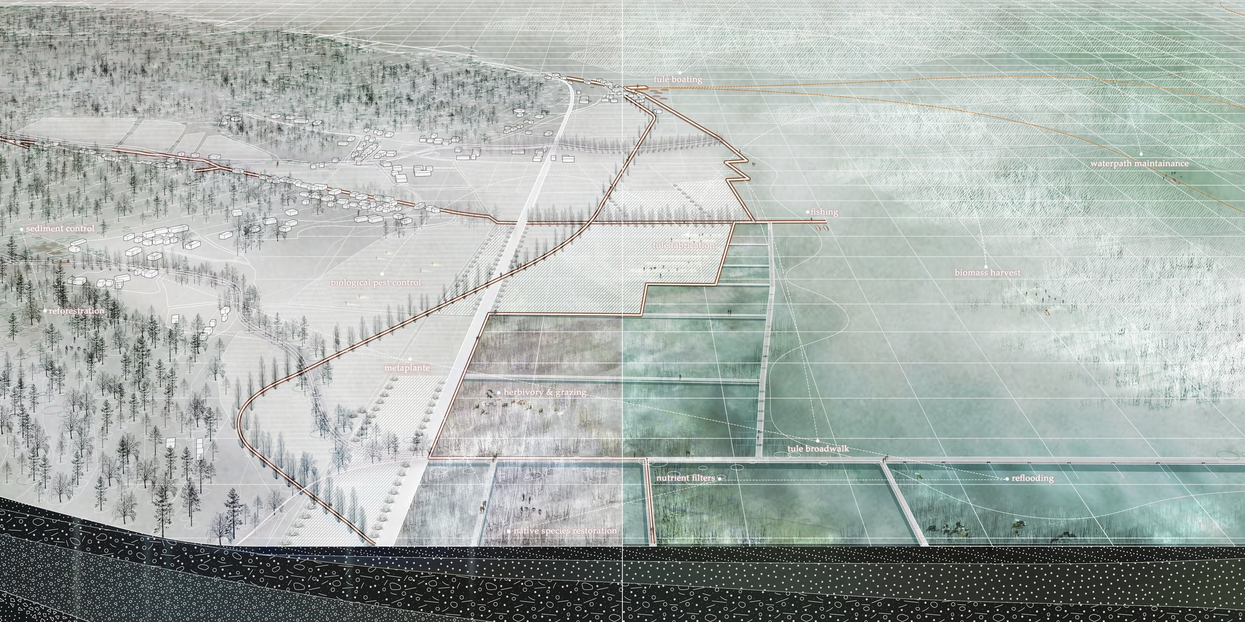 Fall 2021_Final Review_Li_Nasr 5.jpg