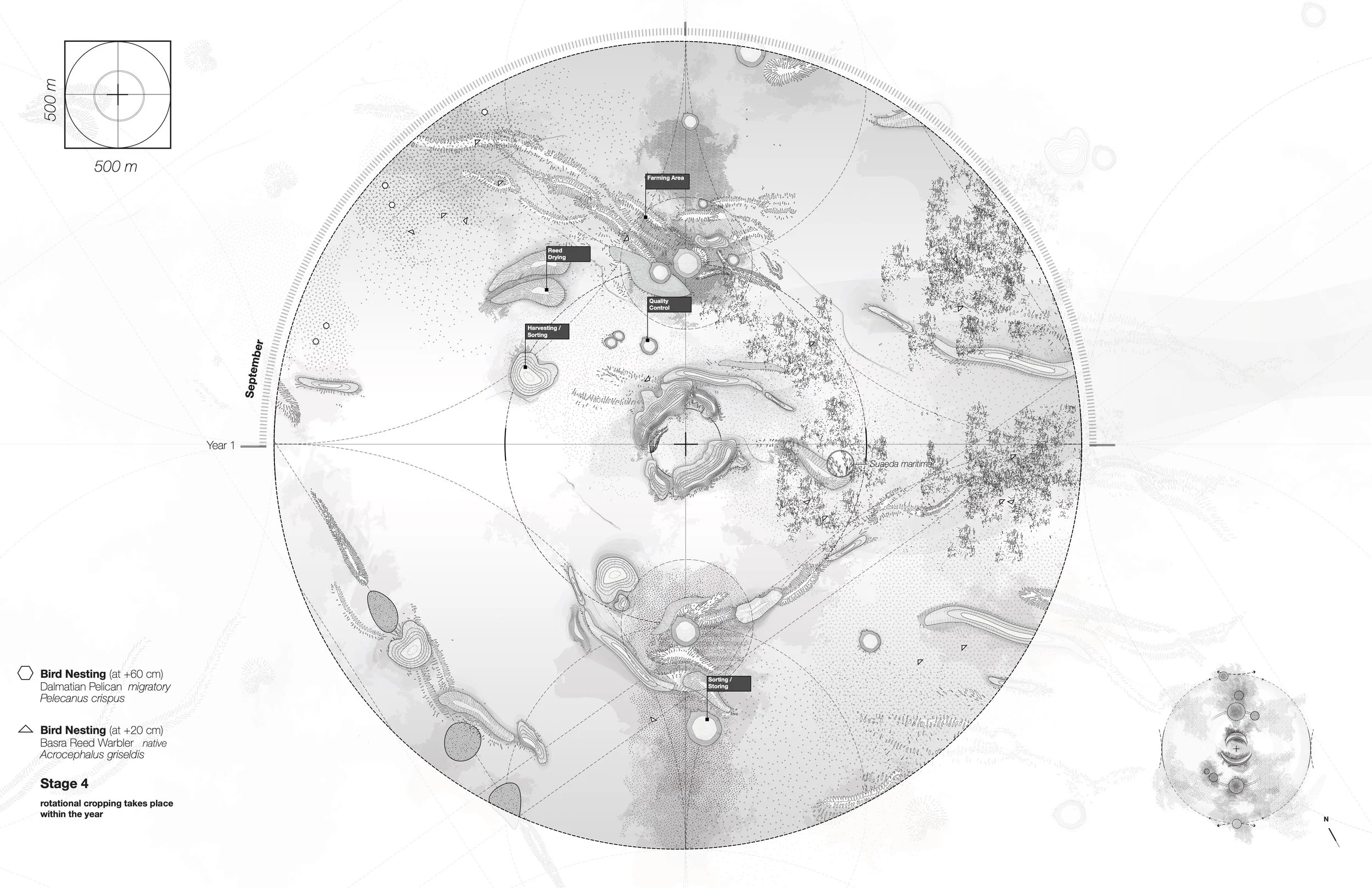 Identities of Past and Present