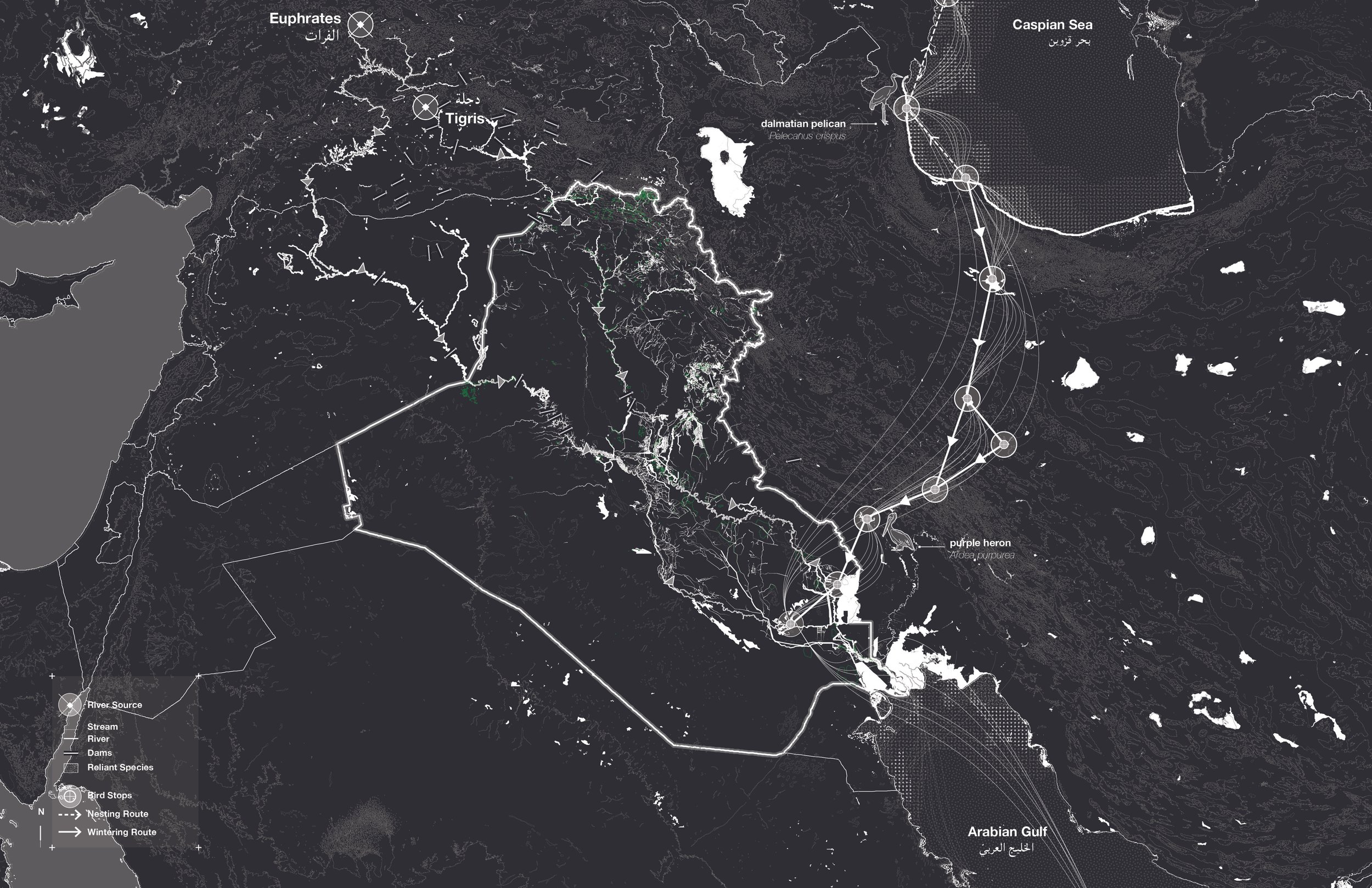 Identities of Past and Present_15.jpg