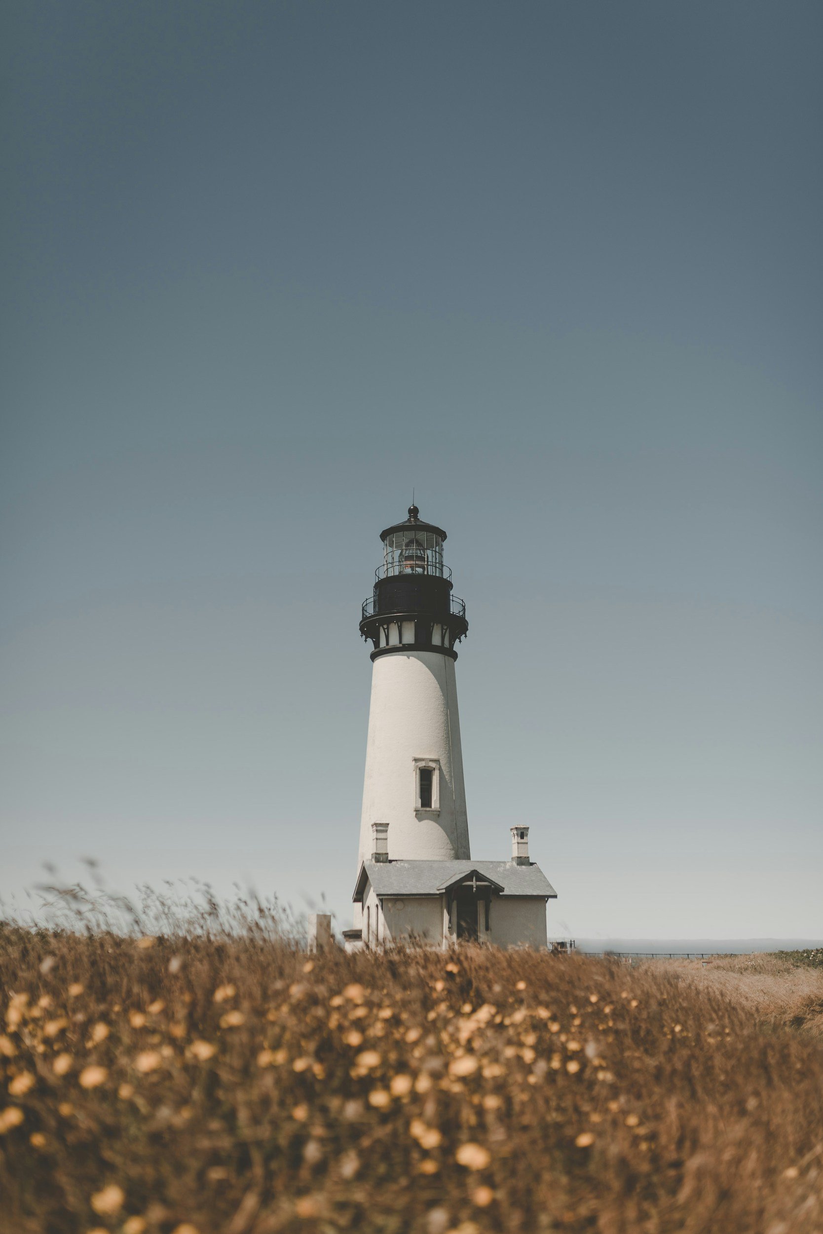 A lighthouse standing on a grassy area with yellow flowers and a clear, blue sky in the background.
