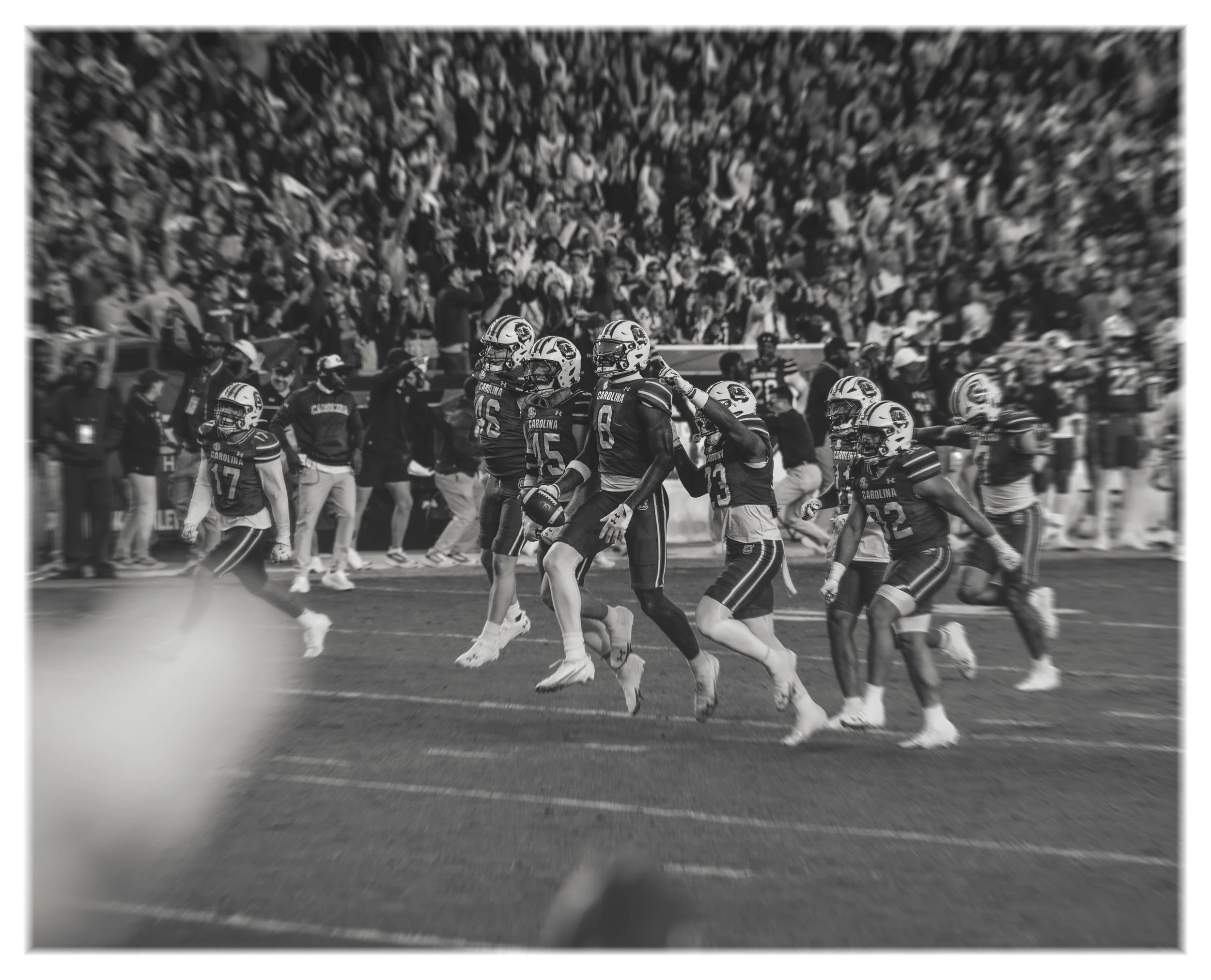 DSC09999 v2e (Panda 2) blur border.jpg