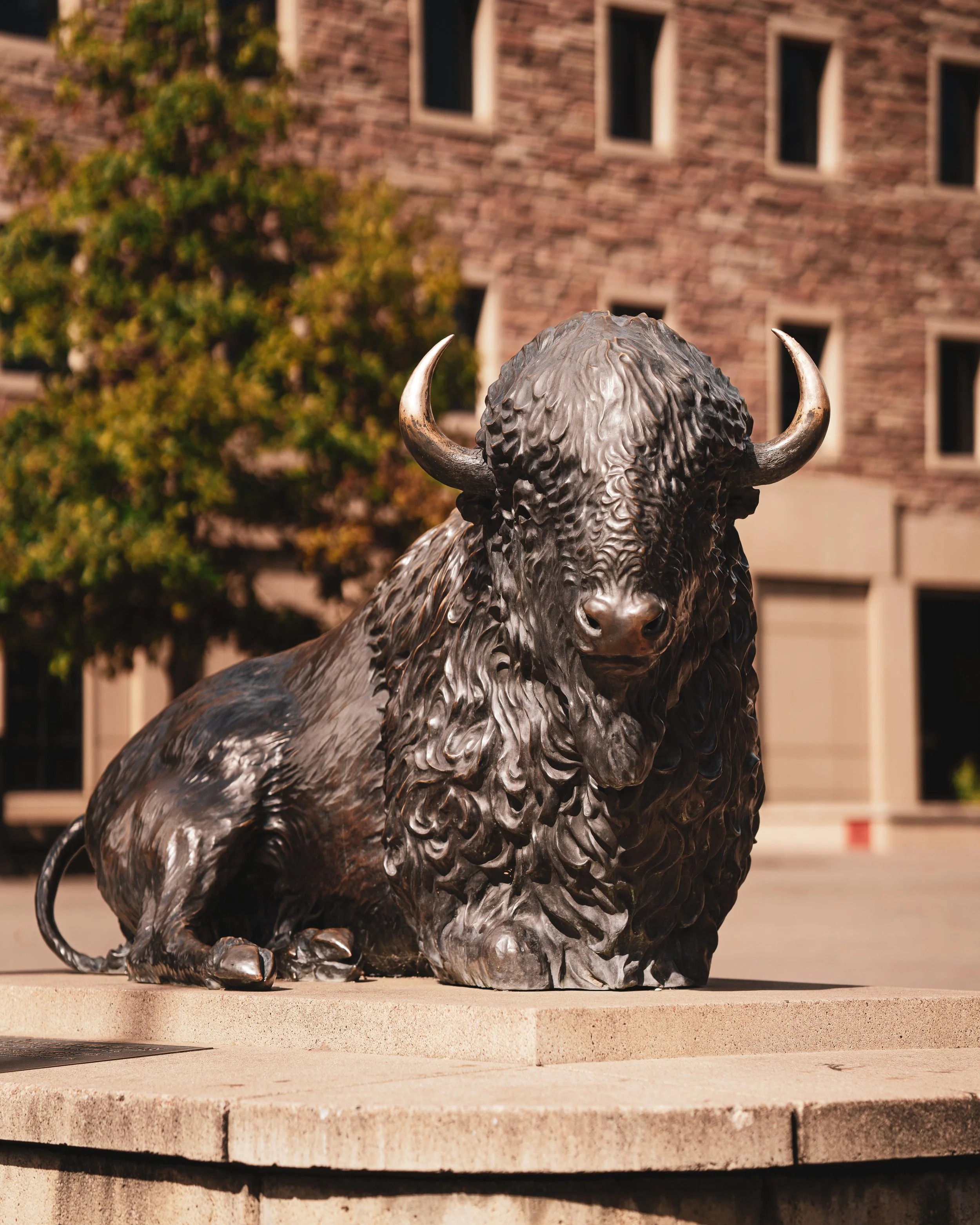 DSC05145 v2e (Leffe Brute).jpg