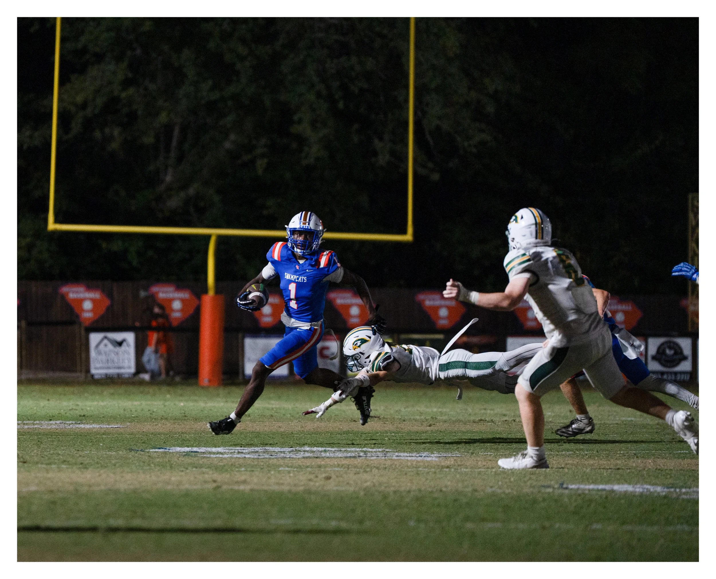 DSC06338 v2e (Cocoa Butter) border.jpg