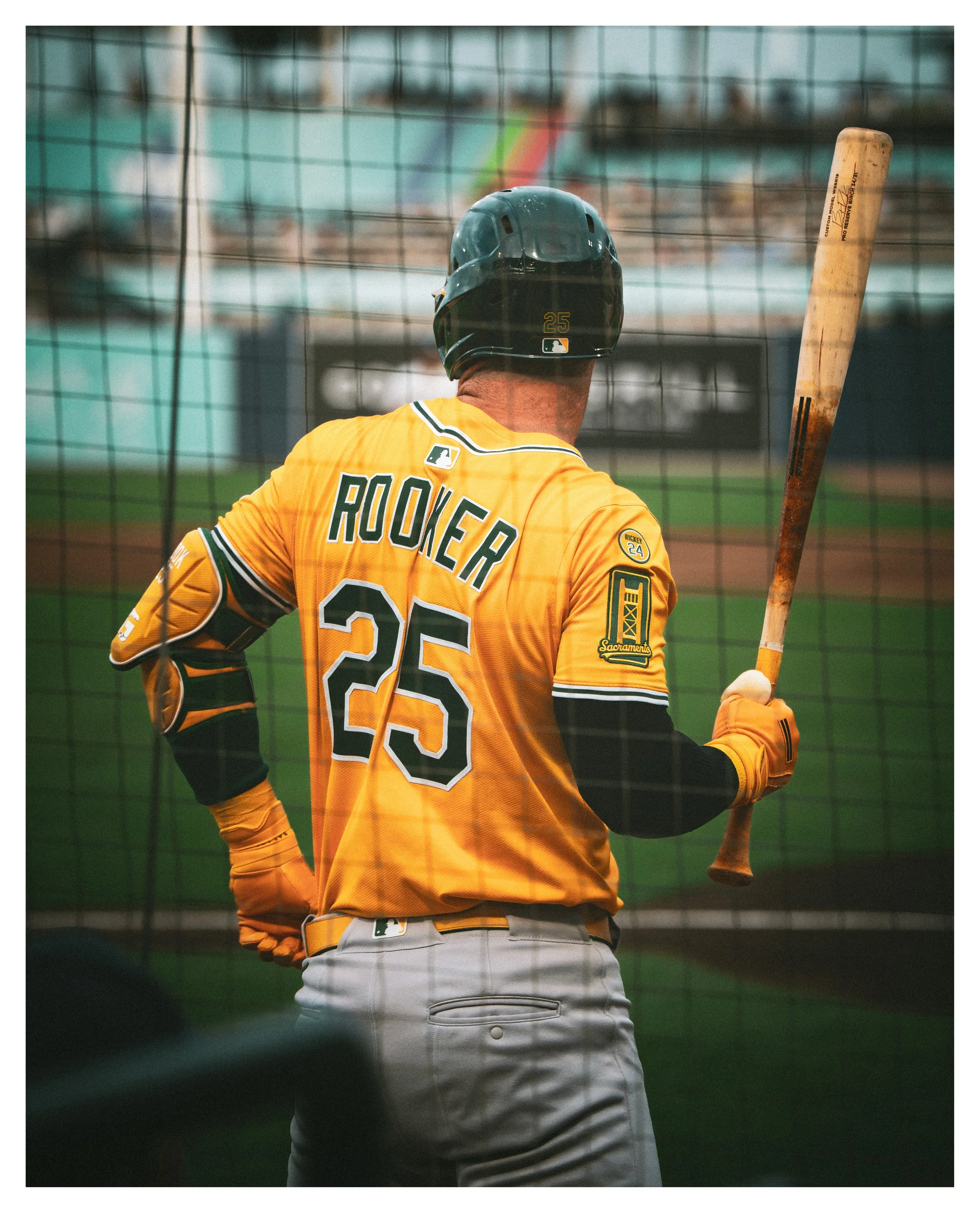 DSC04174 v2ec border (Oakland).jpg