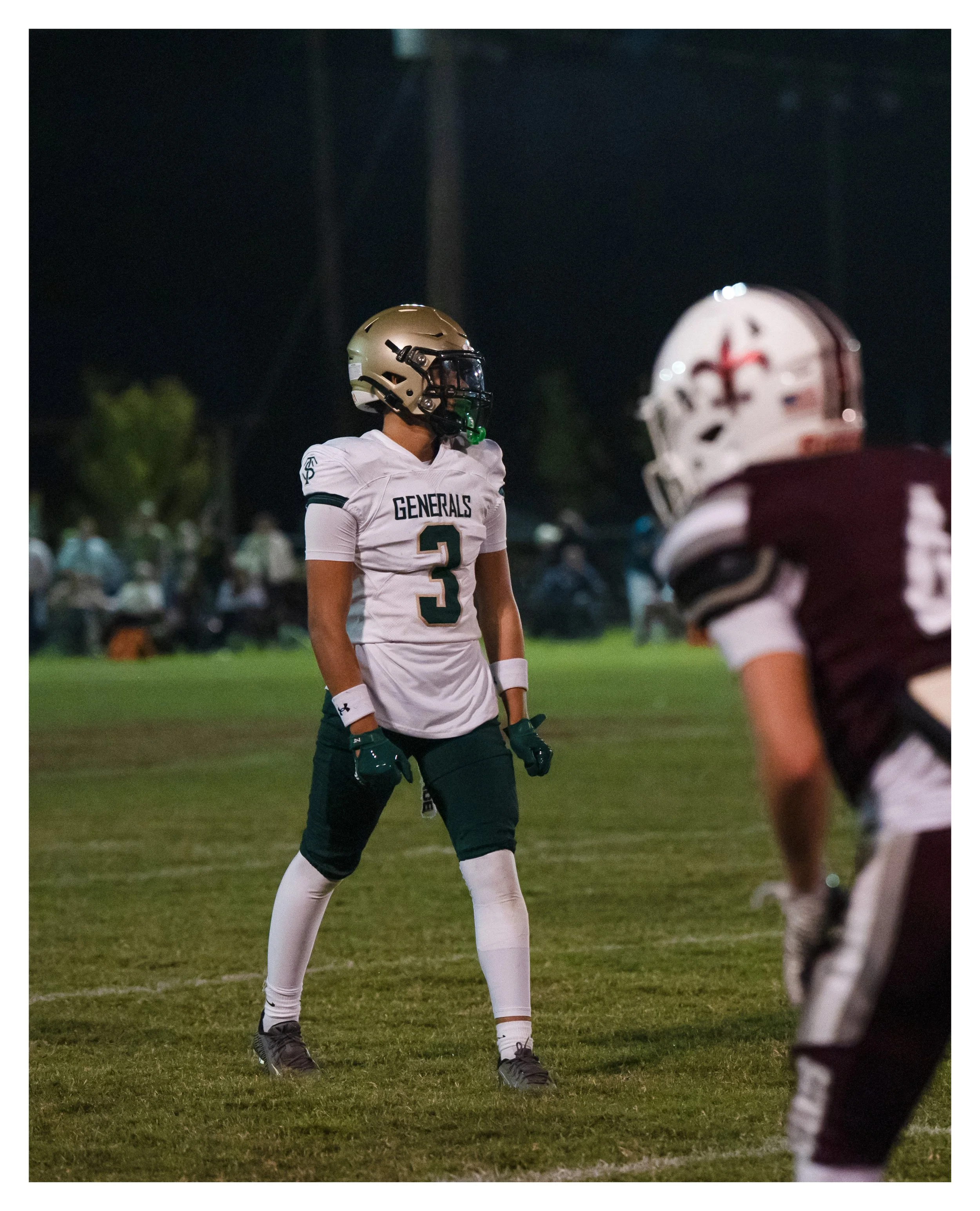 DSC06512 v2e2 (Cocoa Butter) border.jpg