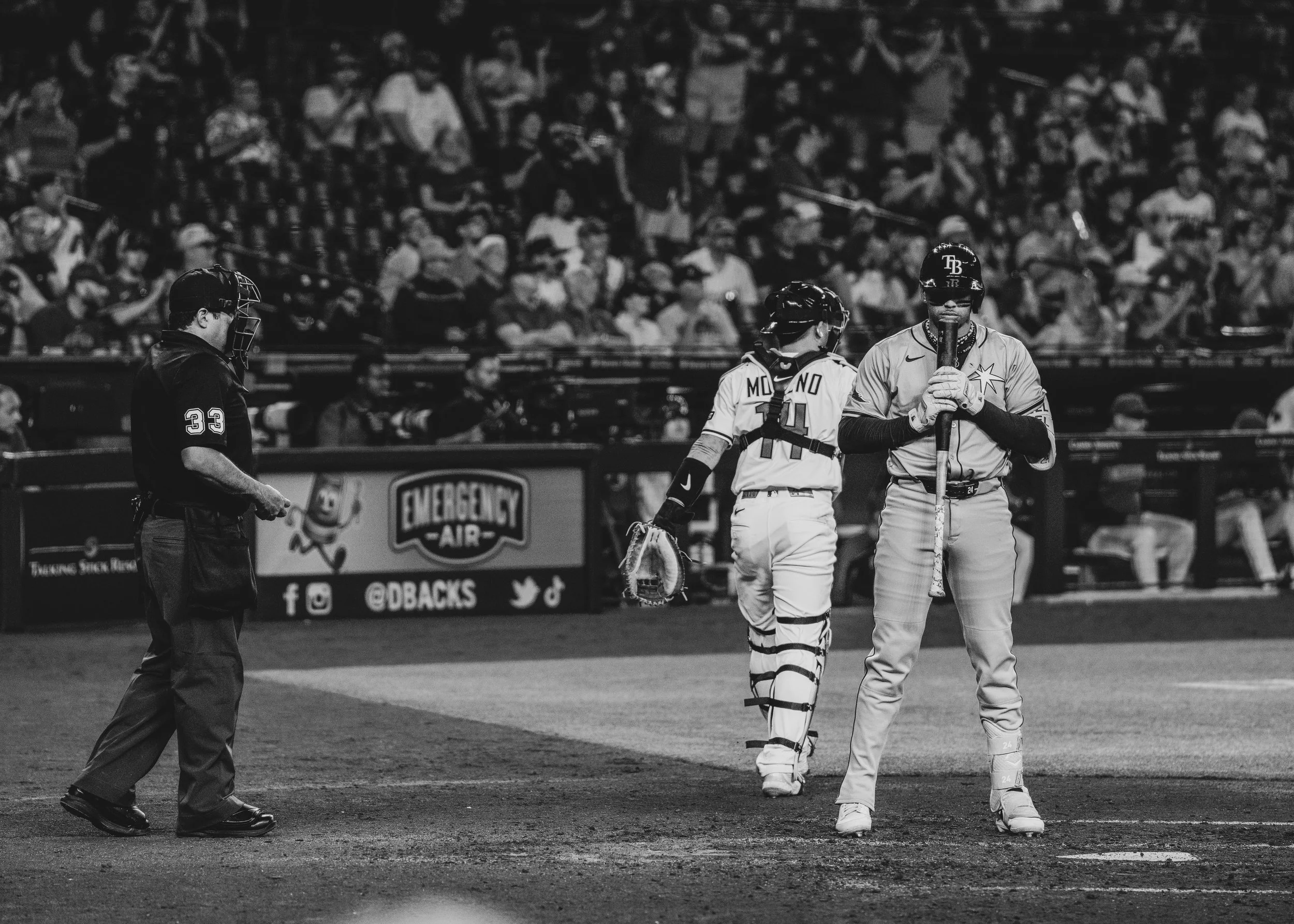 DSC03165 v1e (Panda).jpg