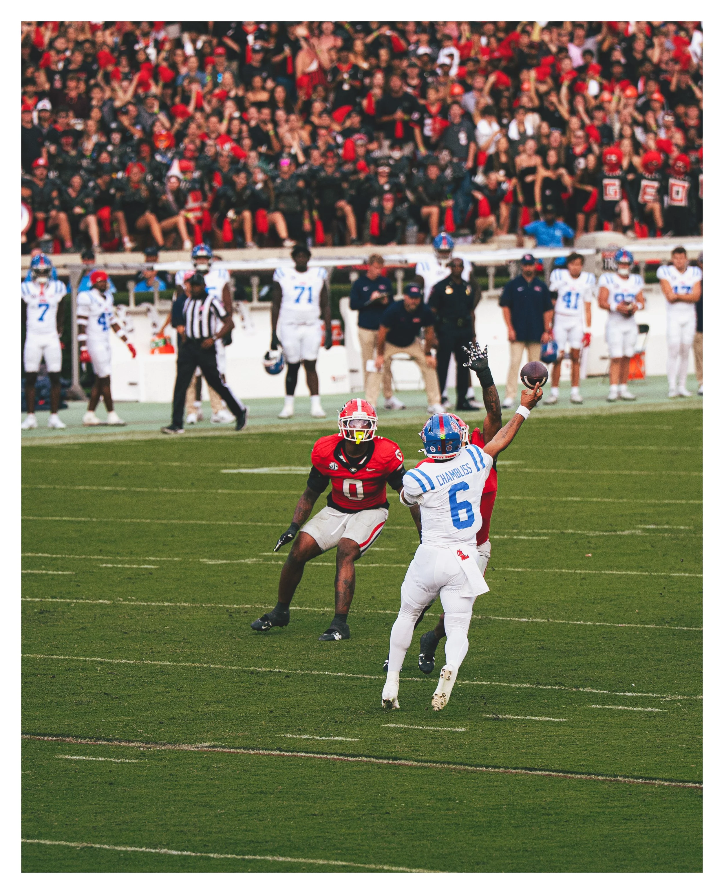 DSC08326 v2ec border.jpg