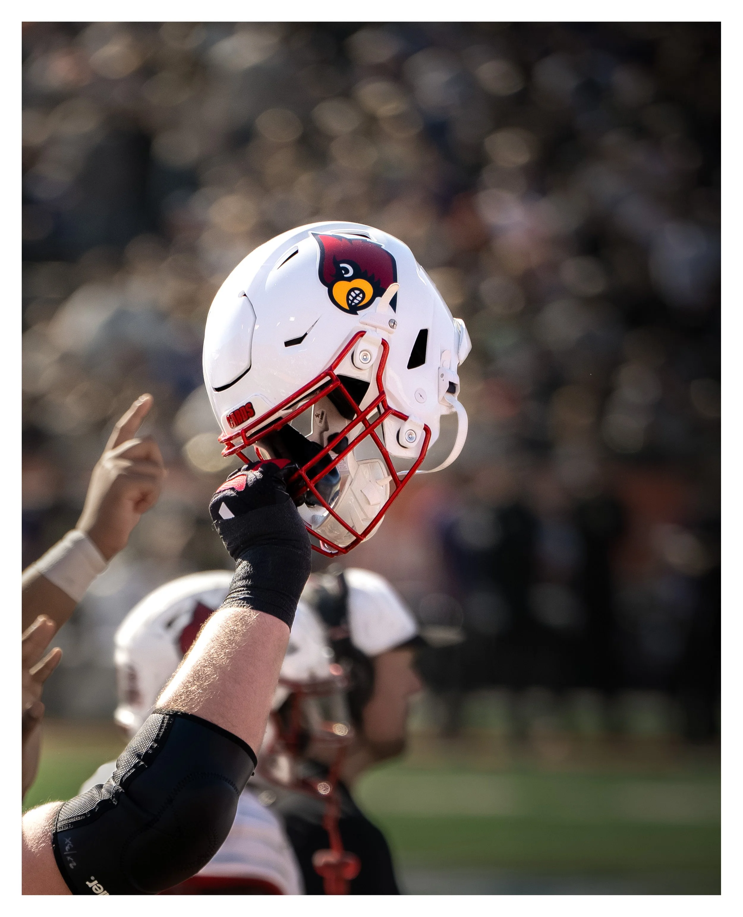 DSC00938 v2e (Charmin) border.jpg