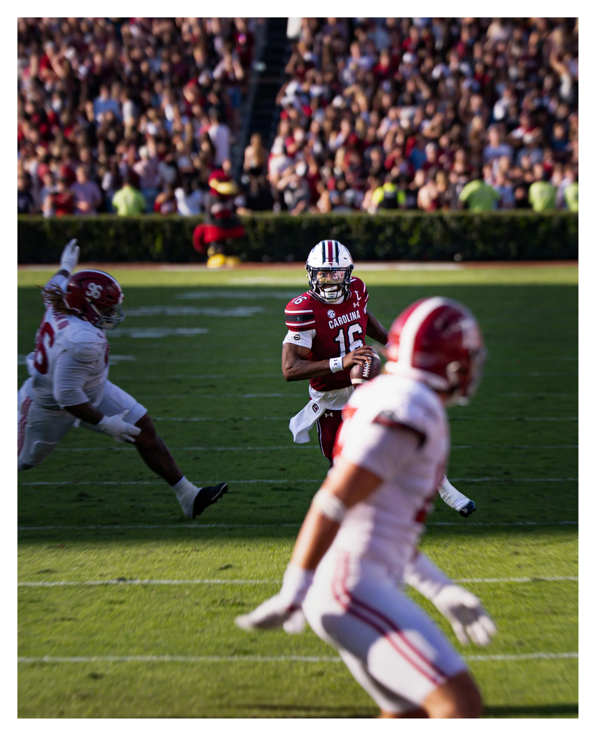 DSC09771 v2e (Cocoa Butter) blur border.jpg