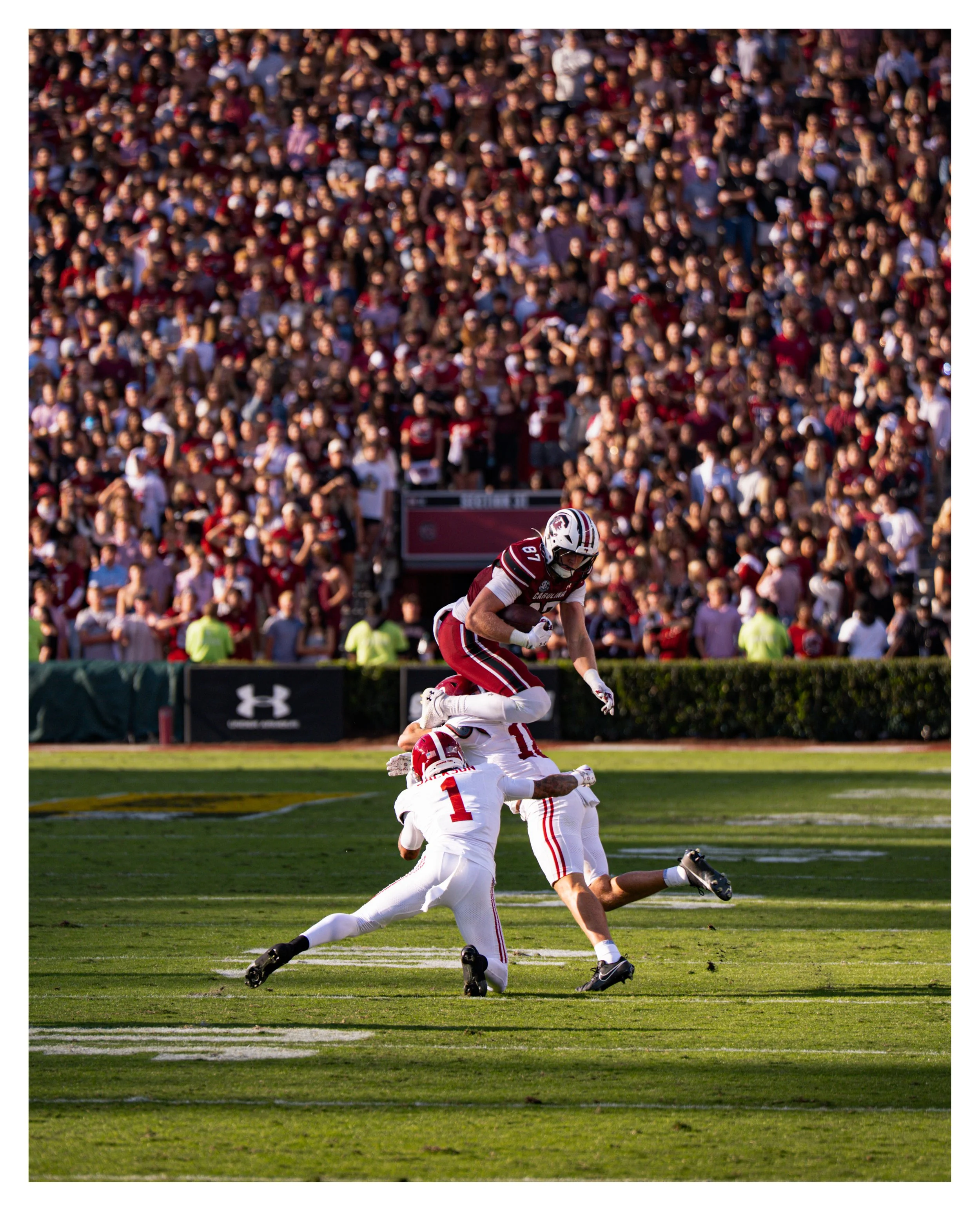 DSC09650 v2e2 (Cocoa Butter) border.jpg