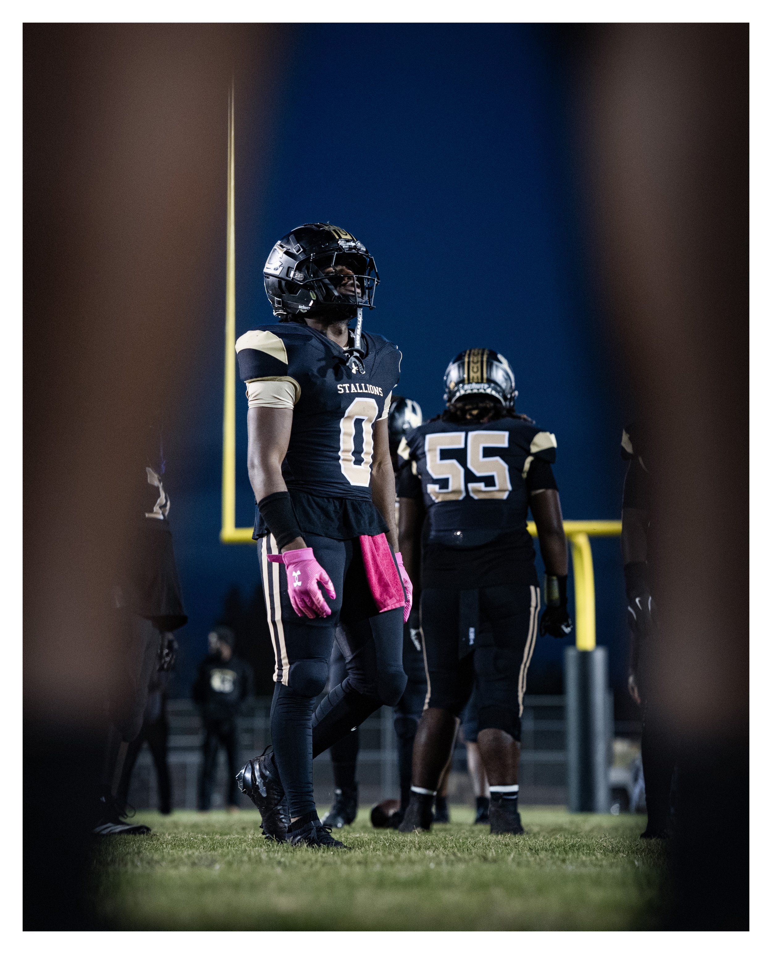 DSC07499 v2e (Wood Loop) border.jpg