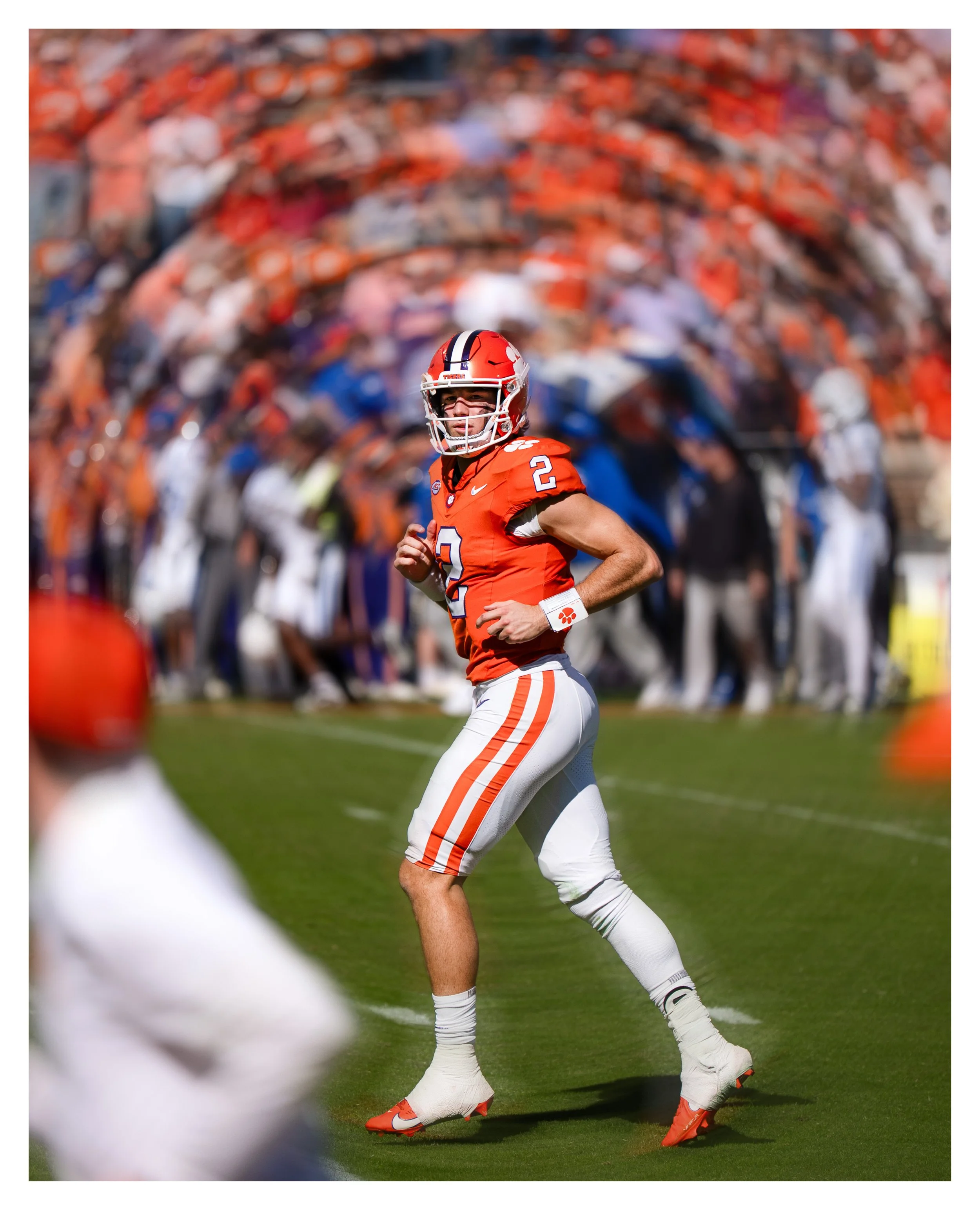 DSC00850 v2e2 (Cocoa Butter) blur border.jpg