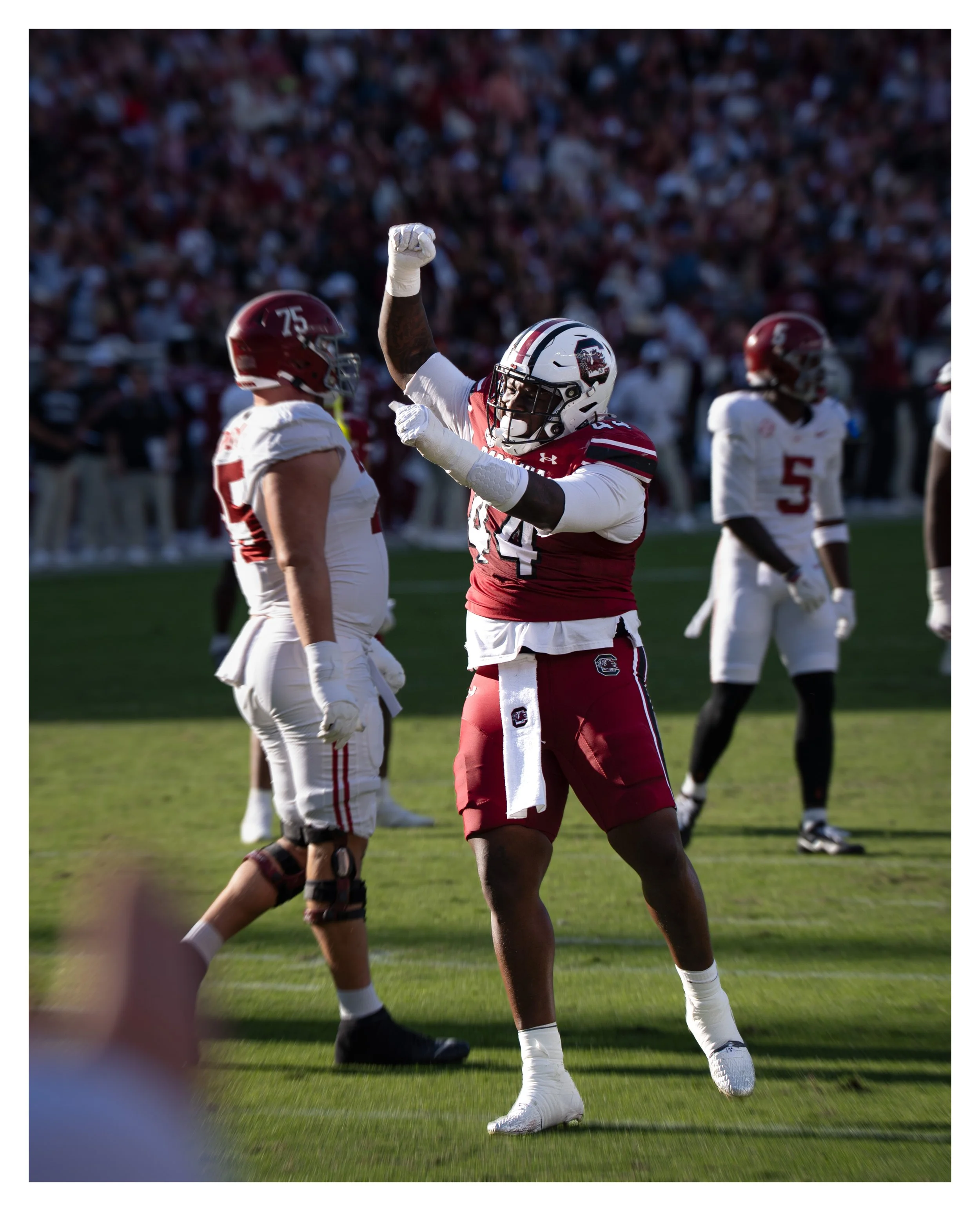 DSC09586 v2e (Cocoa Butter) blur border.jpg